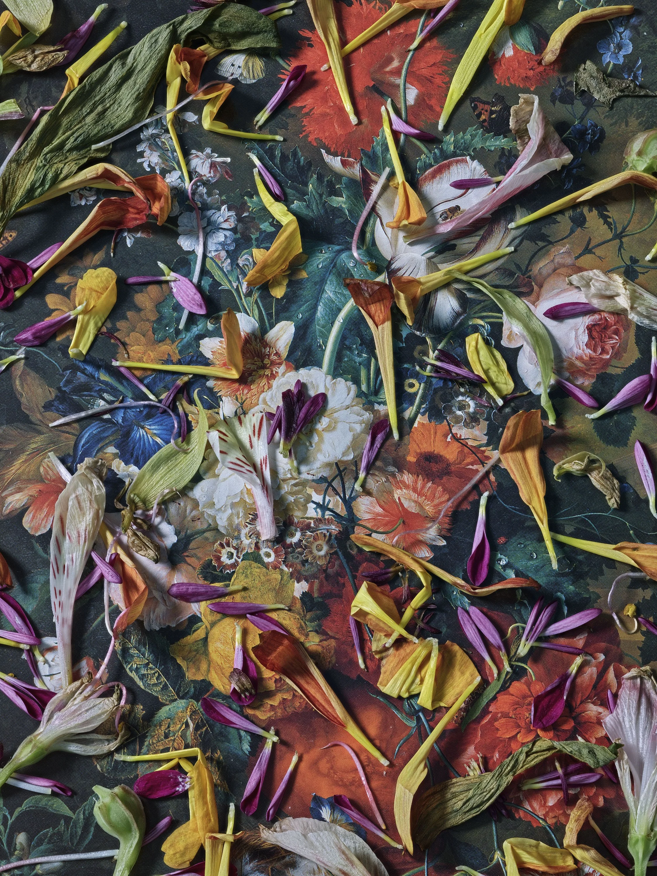 Flores Para Mi Madre, Carmen, #5, 2026