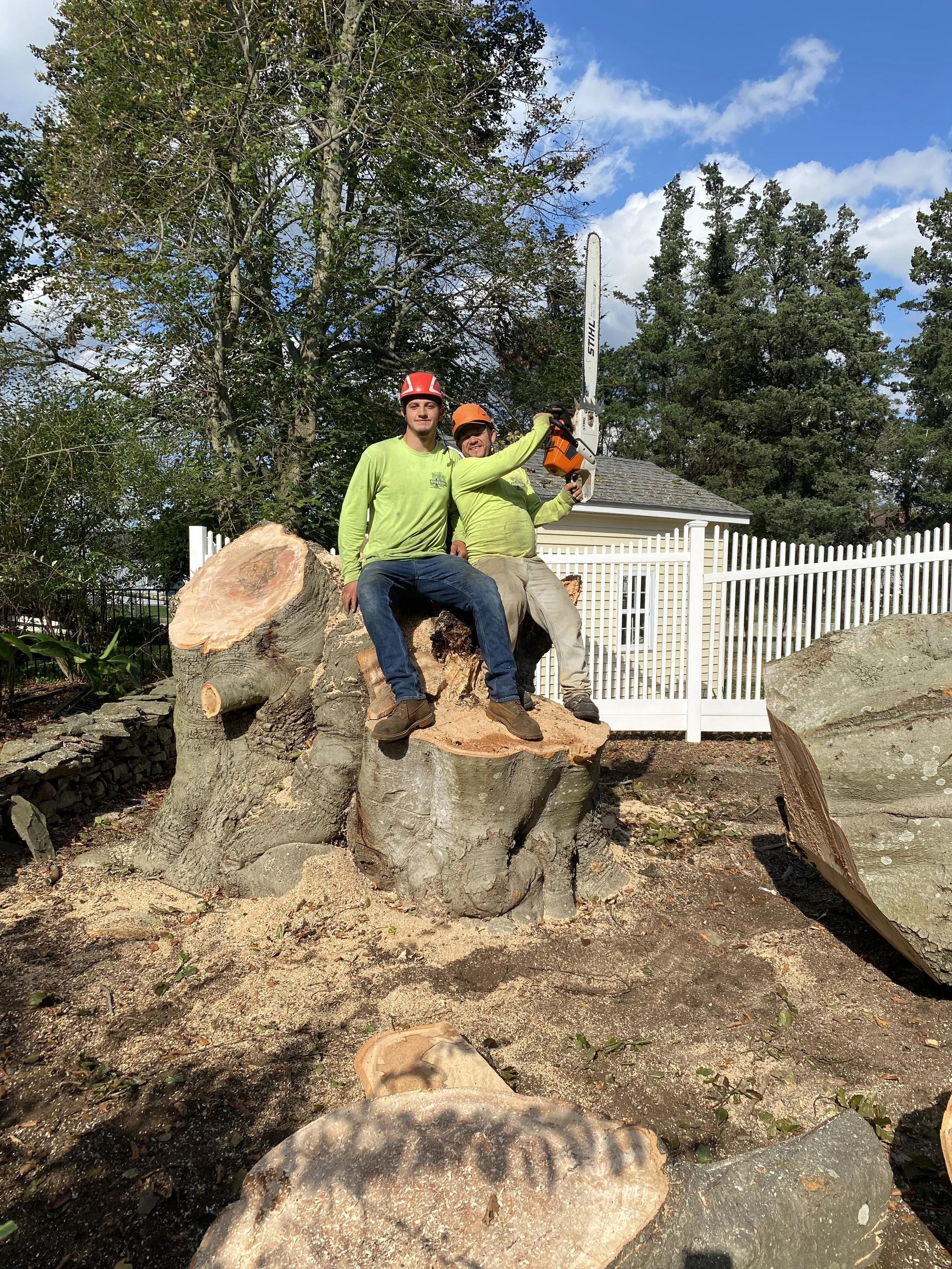 Anderson's Tree Service Inc. gallery 5