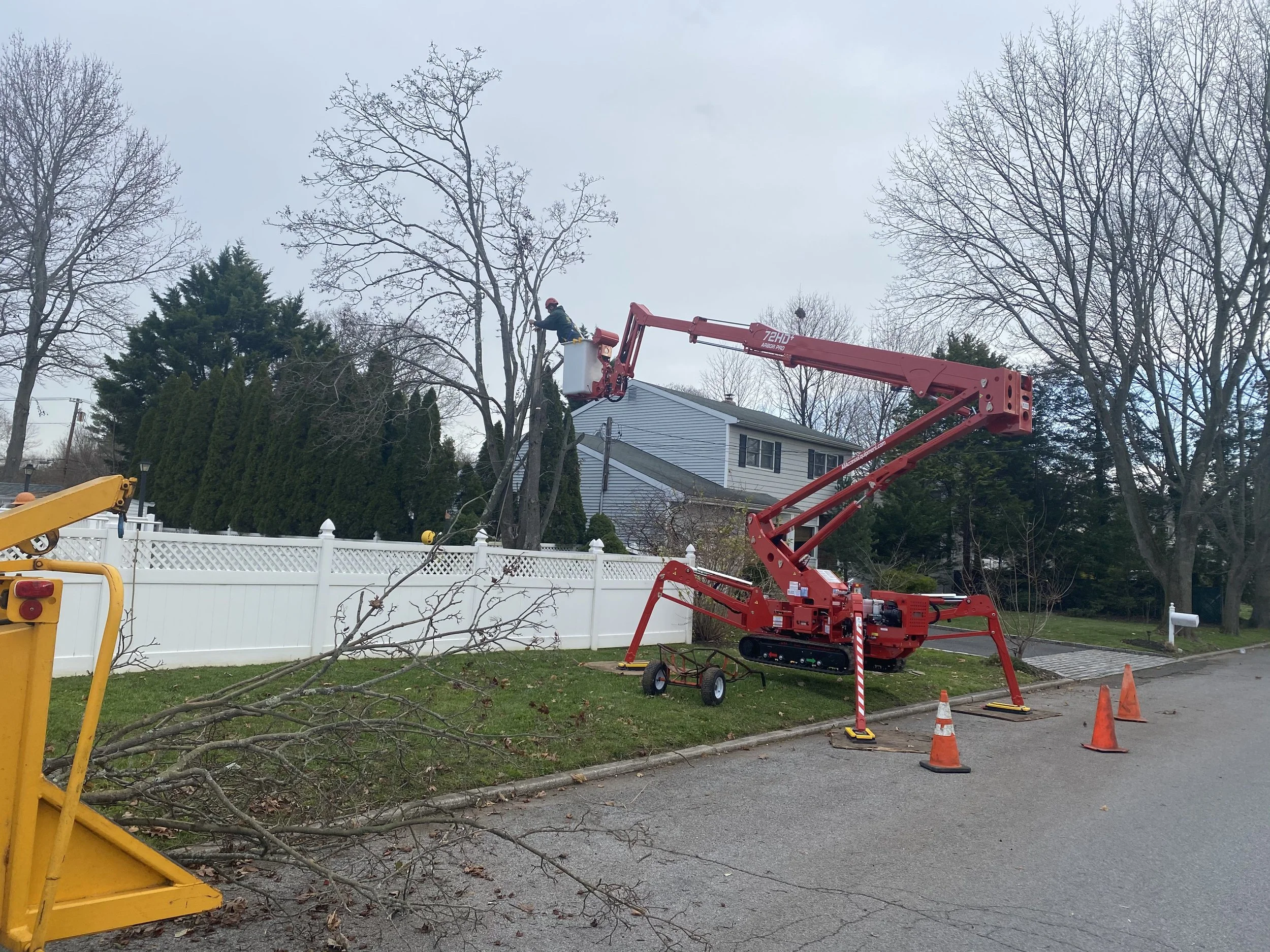 Anderson's Tree Service Inc. gallery 9