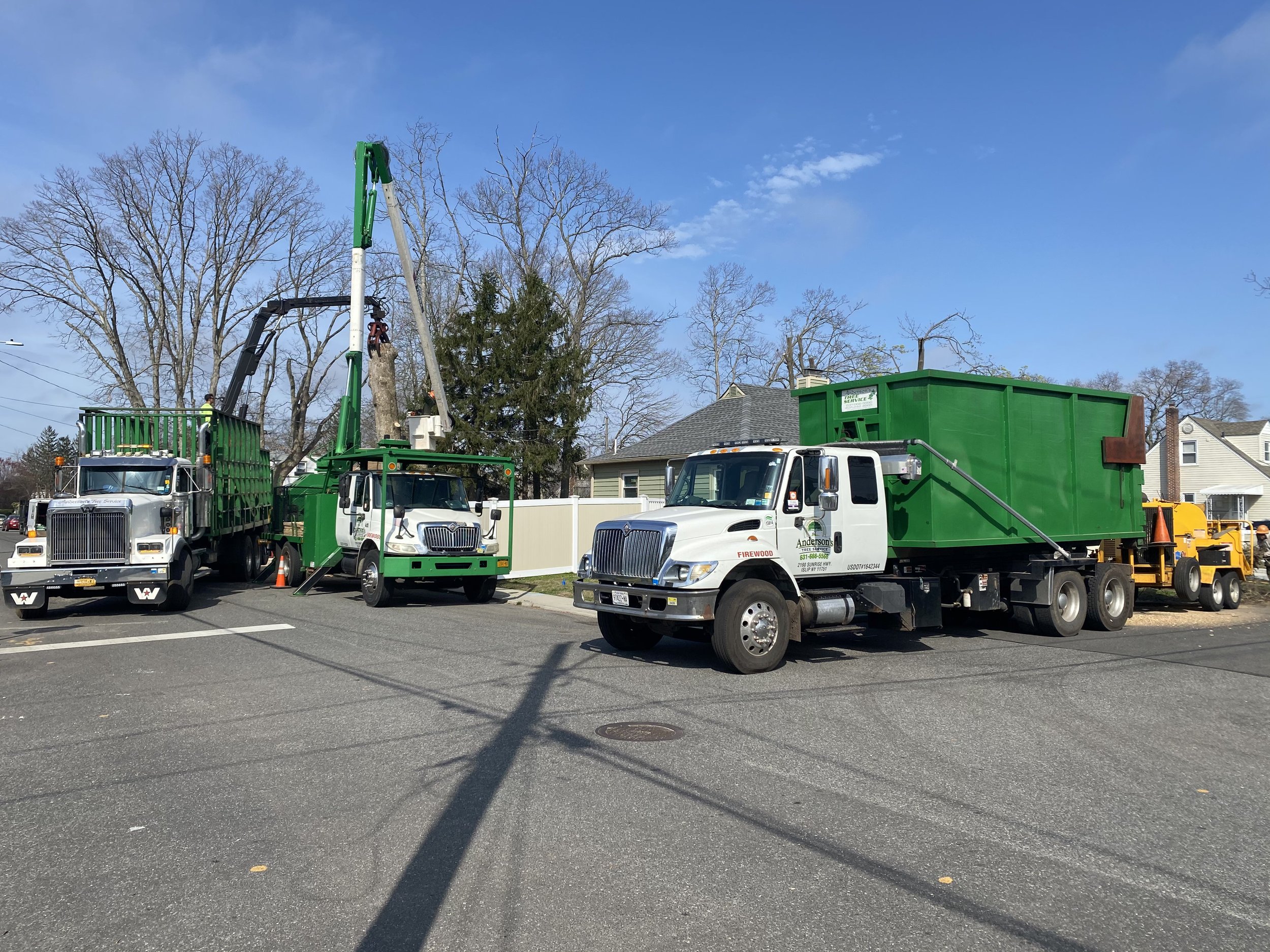 Anderson's Tree Service Inc. work site