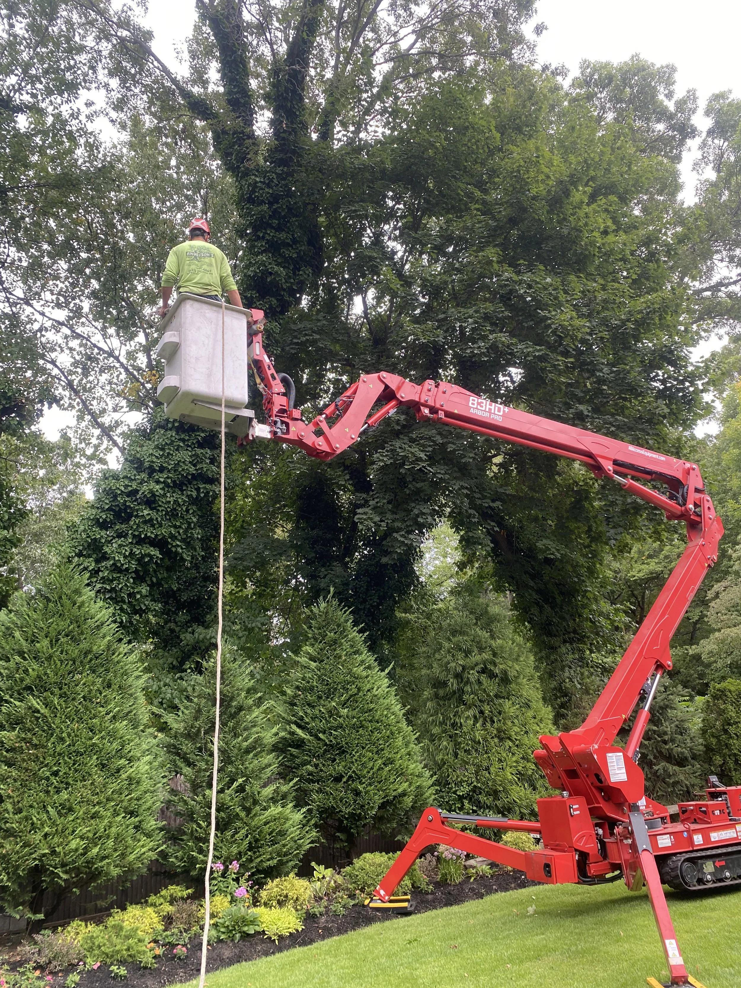 Anderson's Tree Service Inc. gallery 3