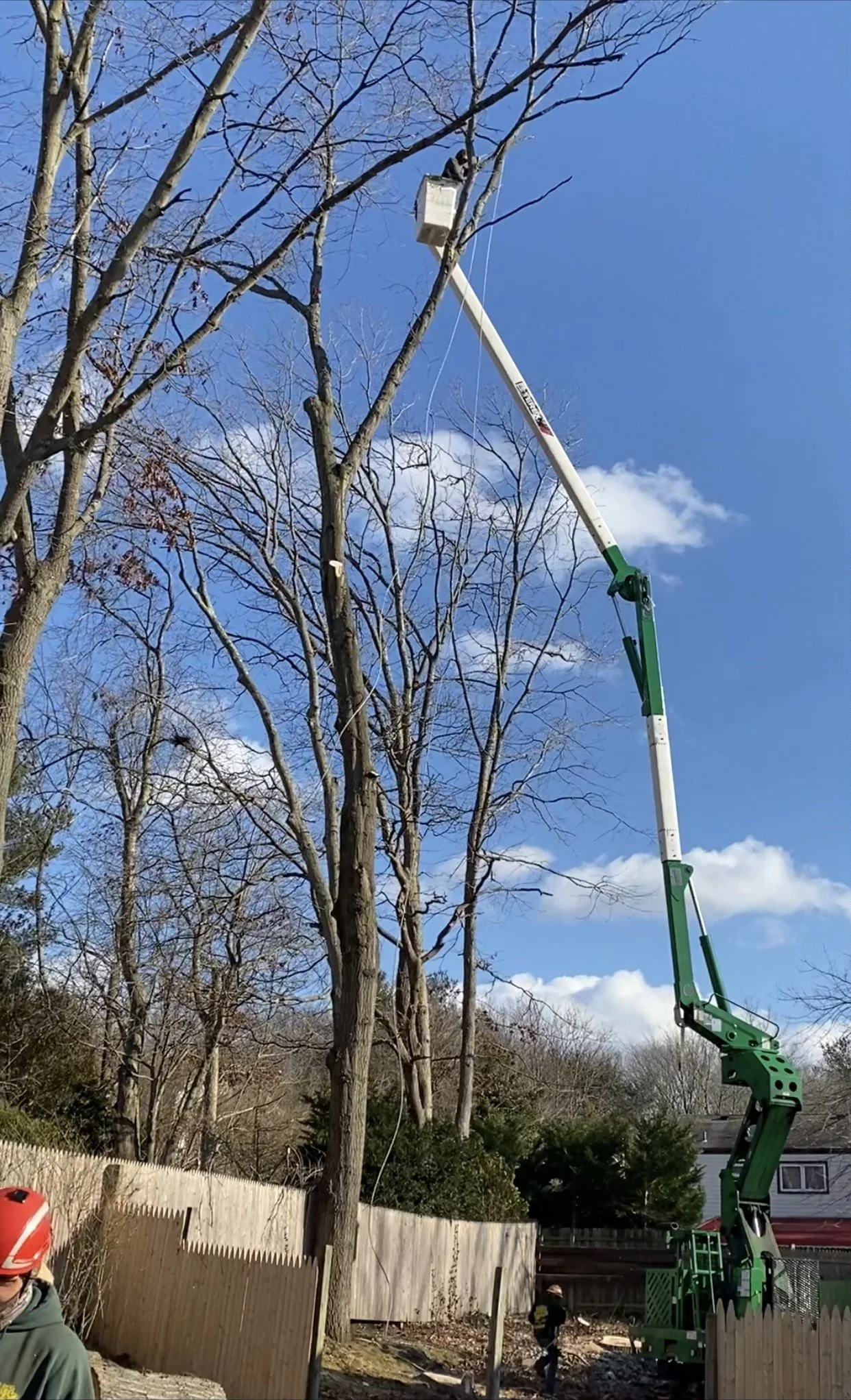 Anderson's Tree Service Inc. gallery 4
