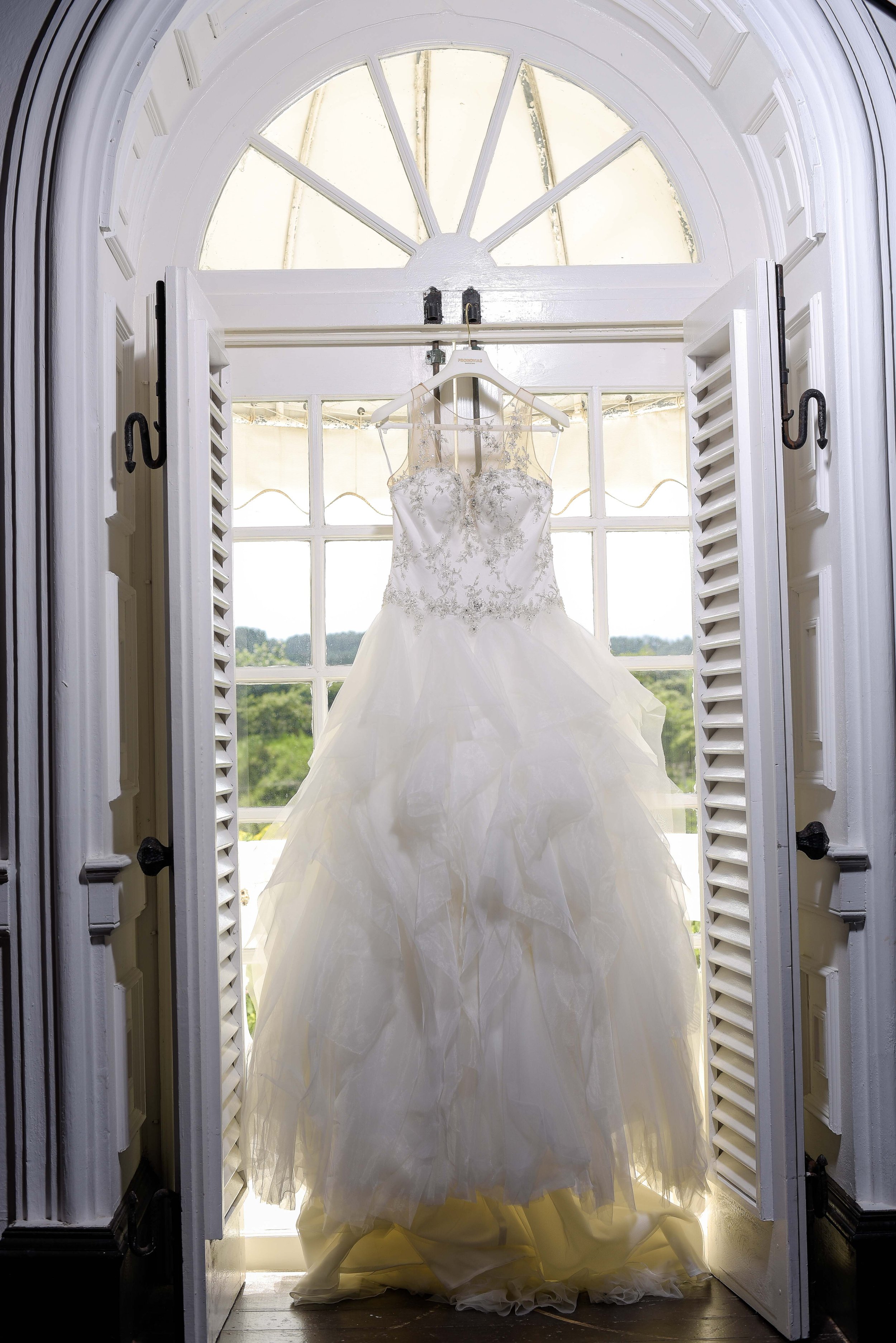 The Dress.jpg