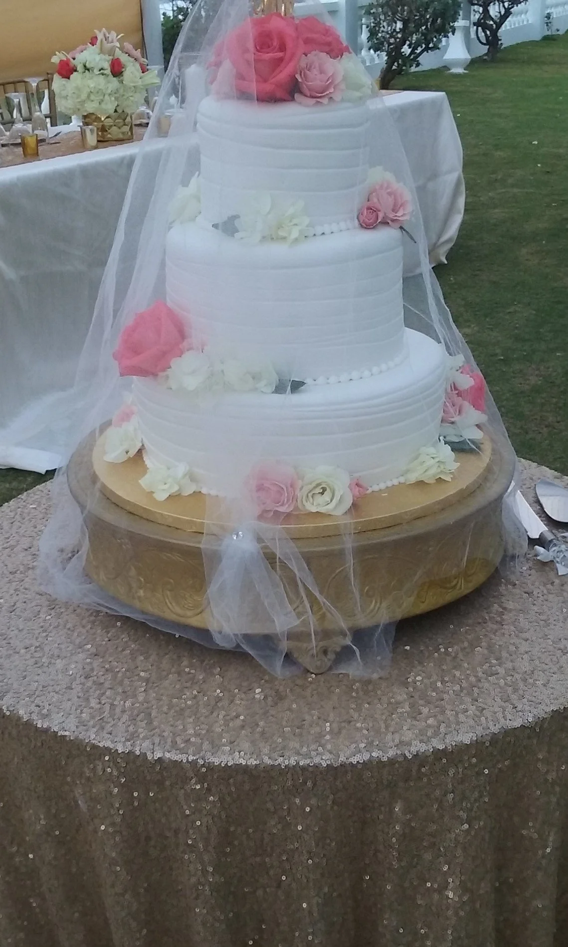 The Cake .jpg