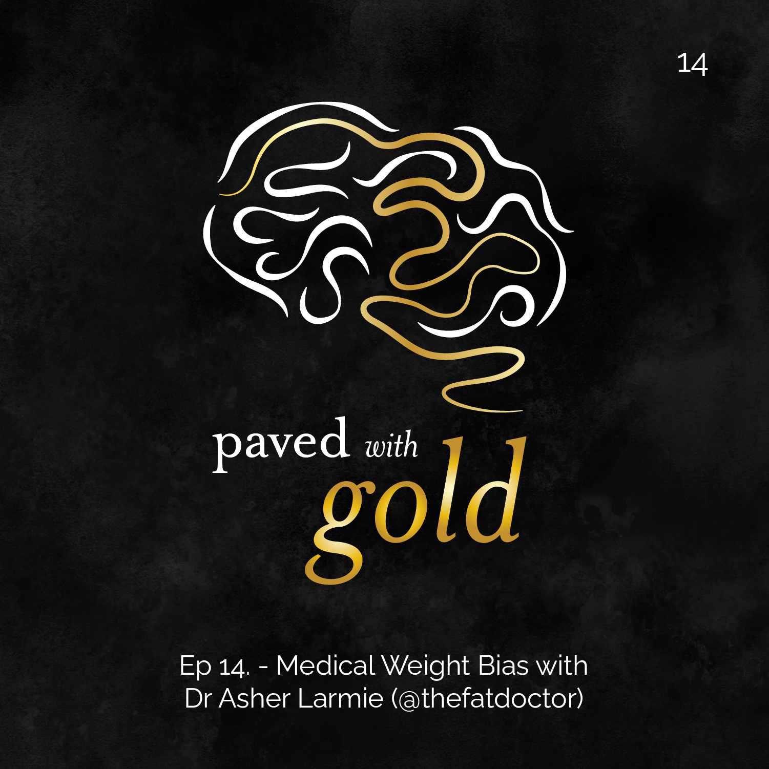 14 - Medical Weight Stigma with Dr Asher Larmie (@thefatdoctor)