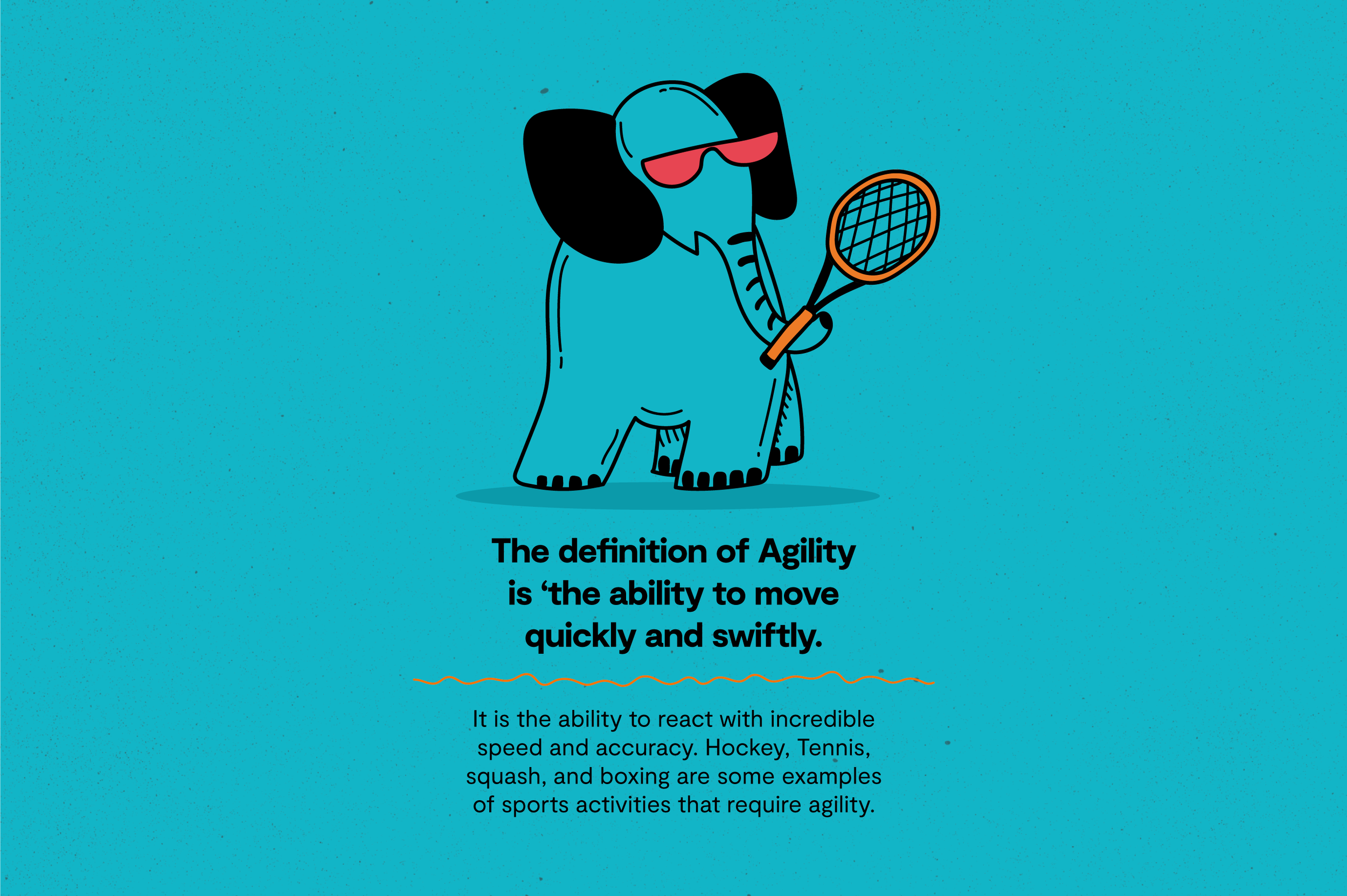 7Elements-Agility-FITHOP.png