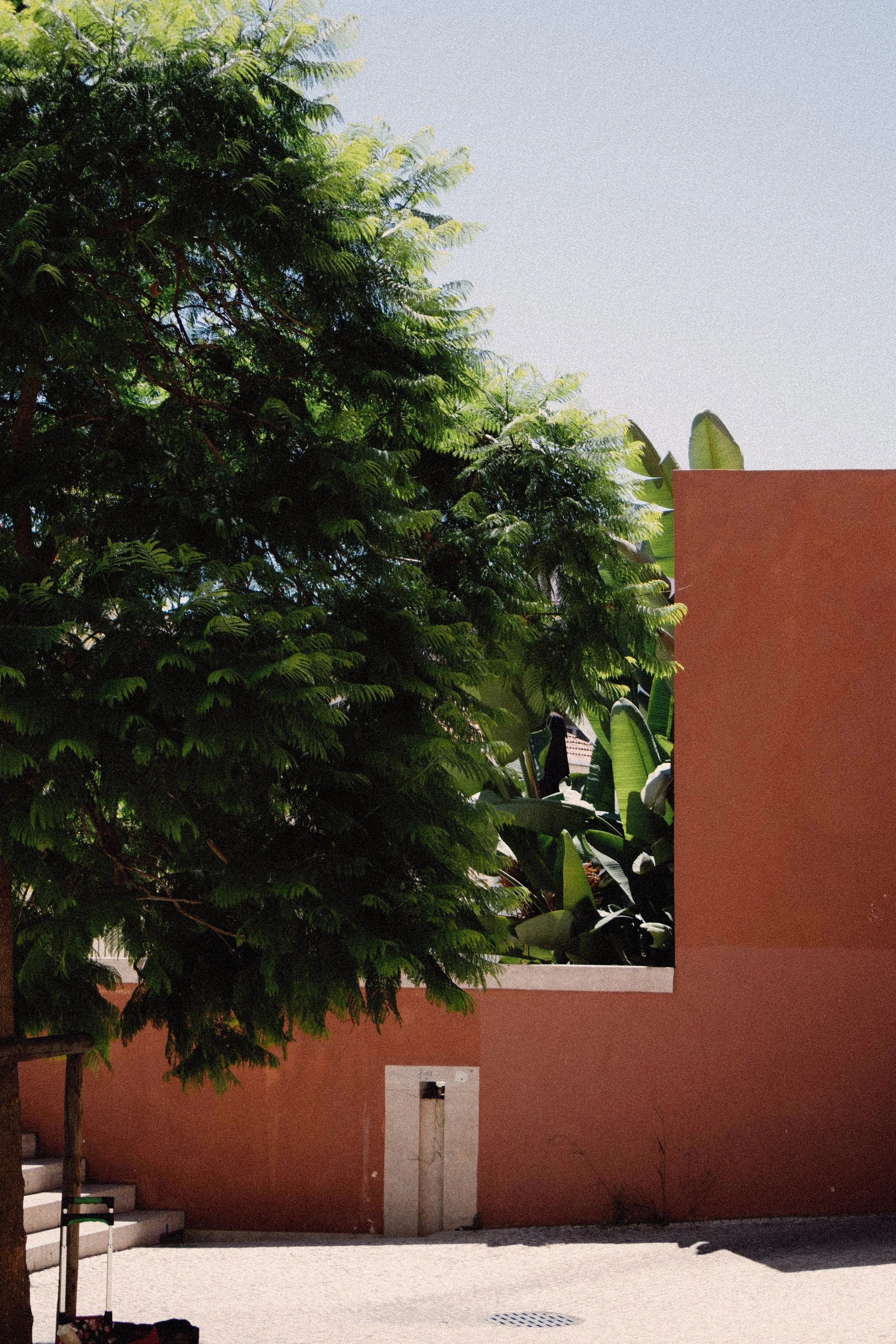 IMG_3848-VSCO.jpeg