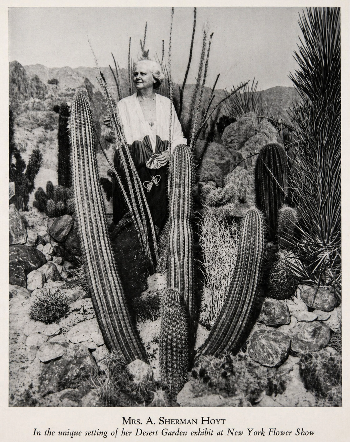 She Saw What Others Missed: Minerva Hamilton Hoyt and the Making of a Desert Park