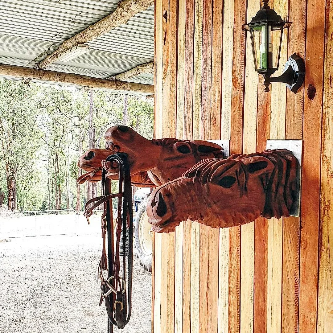 Horse heads that double as tack racks. ✔

That cheeky mare in the middle doesn't mind a beer or two 🍺
.
.
.
.
.
.
#horse #carvedhorse #chainsawcarvedhorse  #woodenhorse #chainsawart #horsetack #cowgirl #campdraft #westerntack #woodwork #saburrtooth 