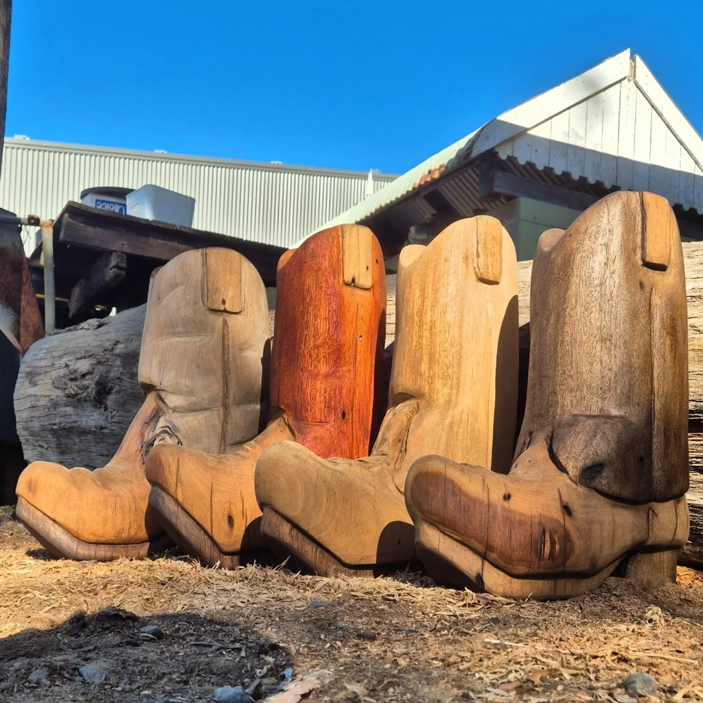 These boots are not made for walking. 👢 
.
#carvedboot #chainsawart #hardwood #cutekaustralia #kenilworth #lazylogz