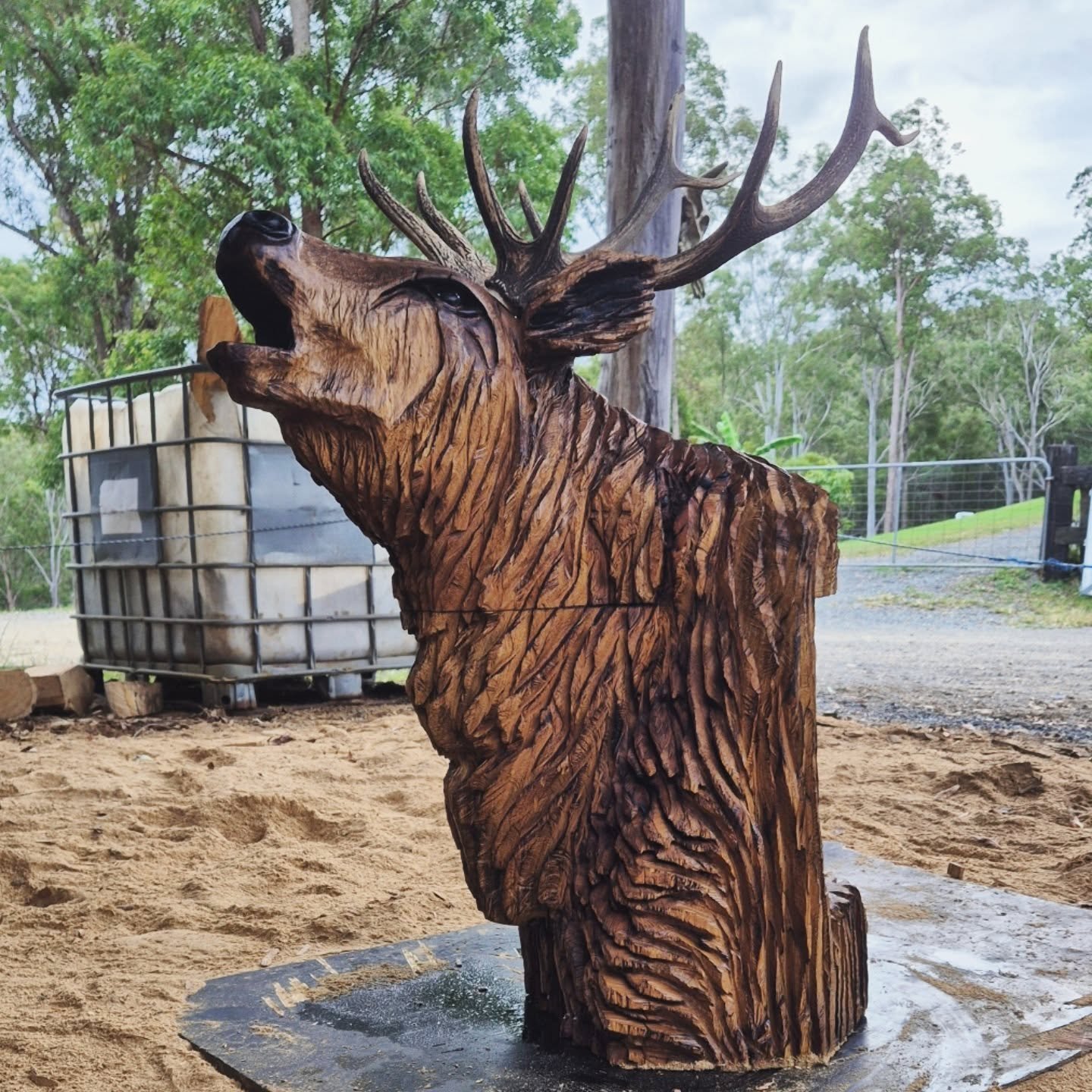 Roar season has come to an end for all but one. 🦌
Plans are to mount this stag on an entryway post.
.
.
.
#stag #deerhuntingseason #carveddeer #chainsawart #carving #stihl #saburrtooth #cutekoil #lazylogz