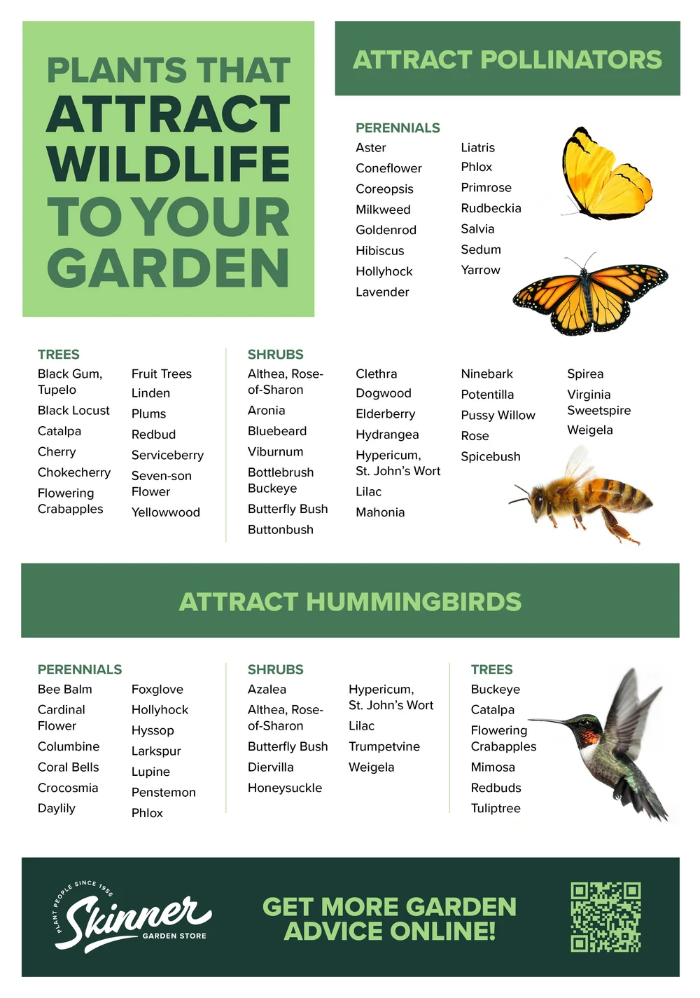 Plant to attract wildlife — Skinner Garden Store