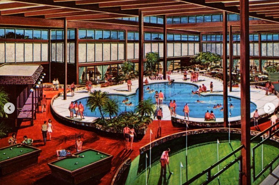 IT’S A JUNGLE OUT THERE