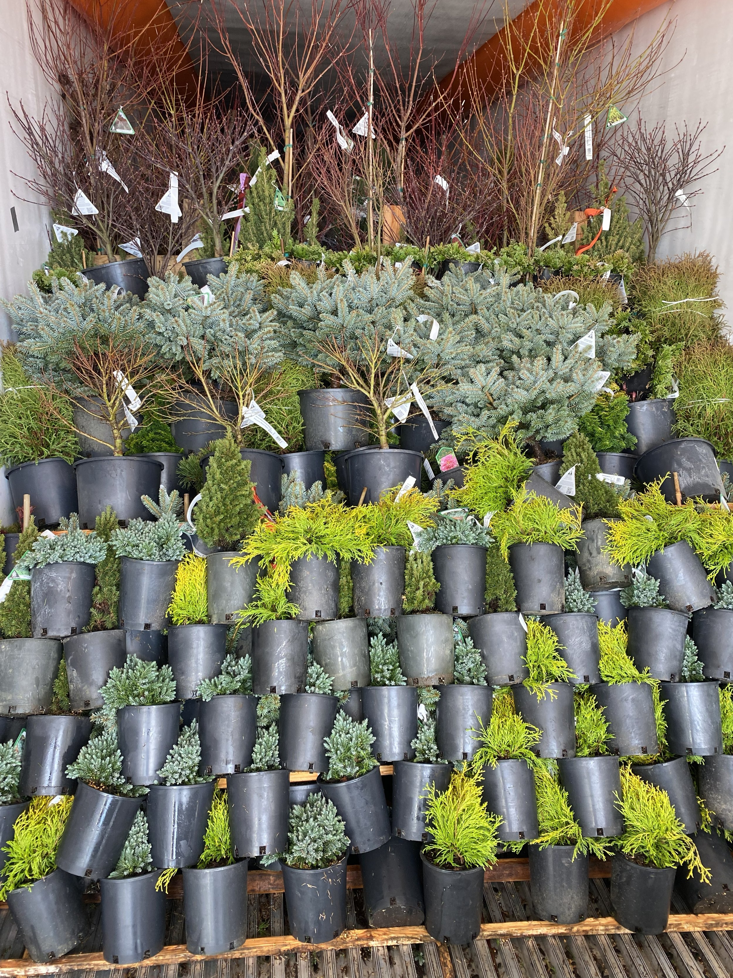 A PLANT ROAD TRIP?