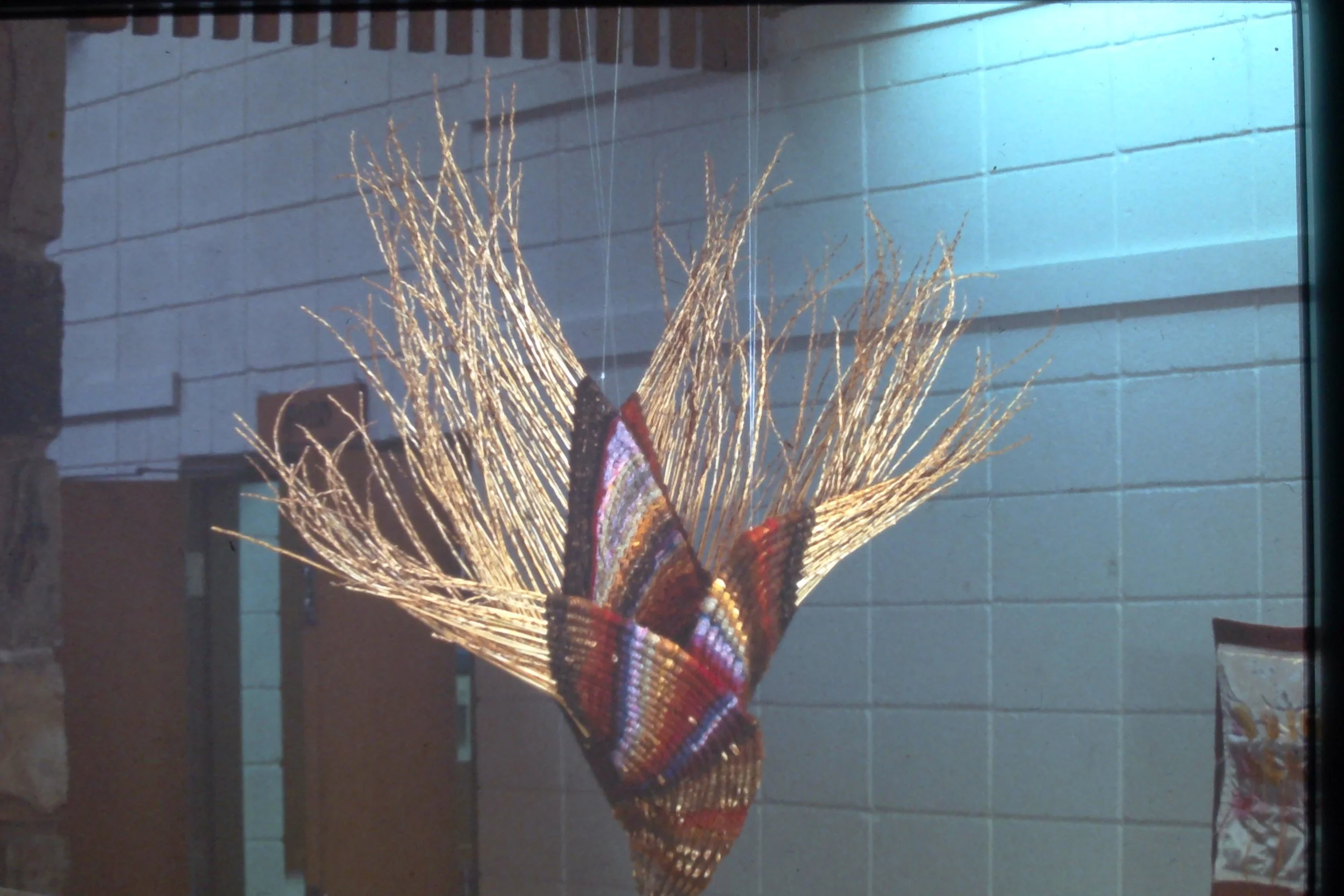 2 Knotted Hanging Form - 1978.JPG