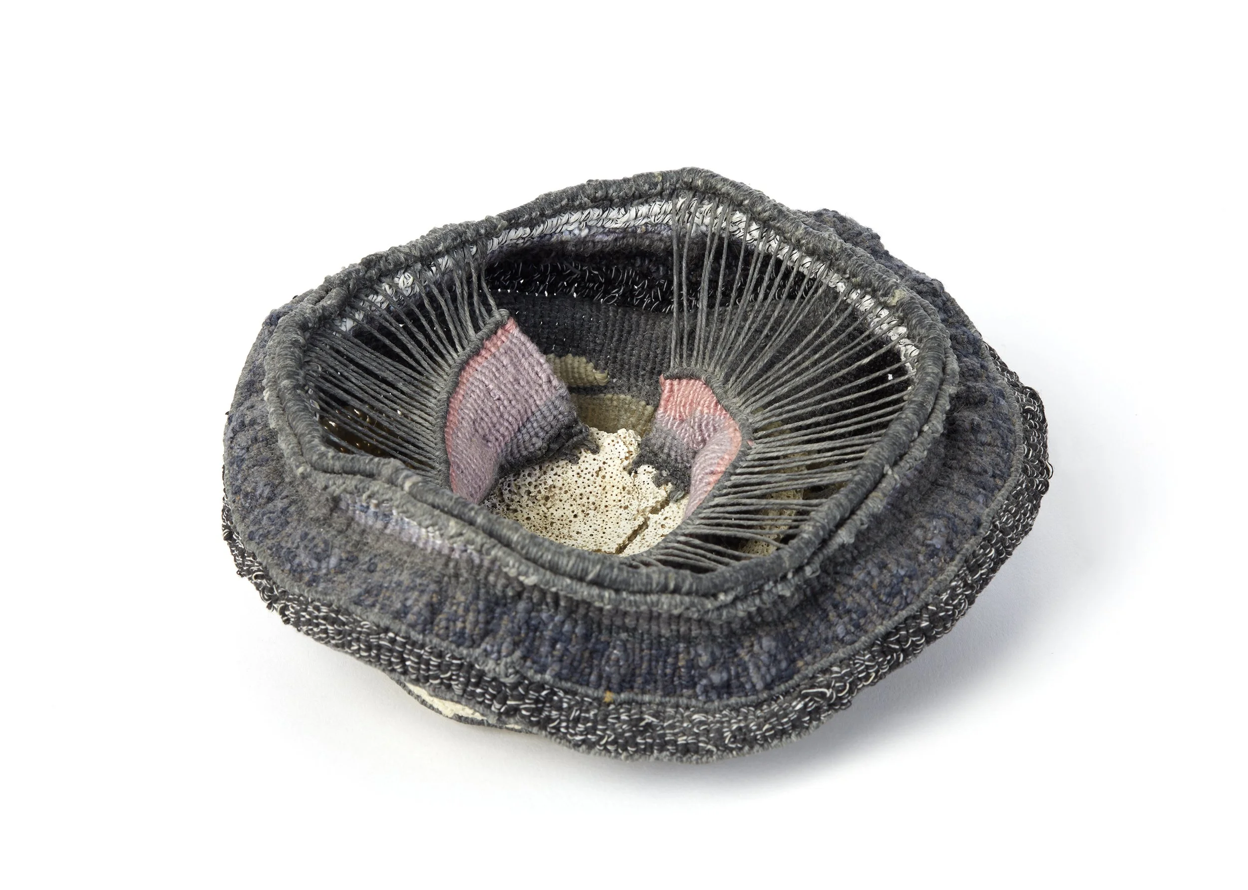 Tide Pool_Croppedcr.jpg