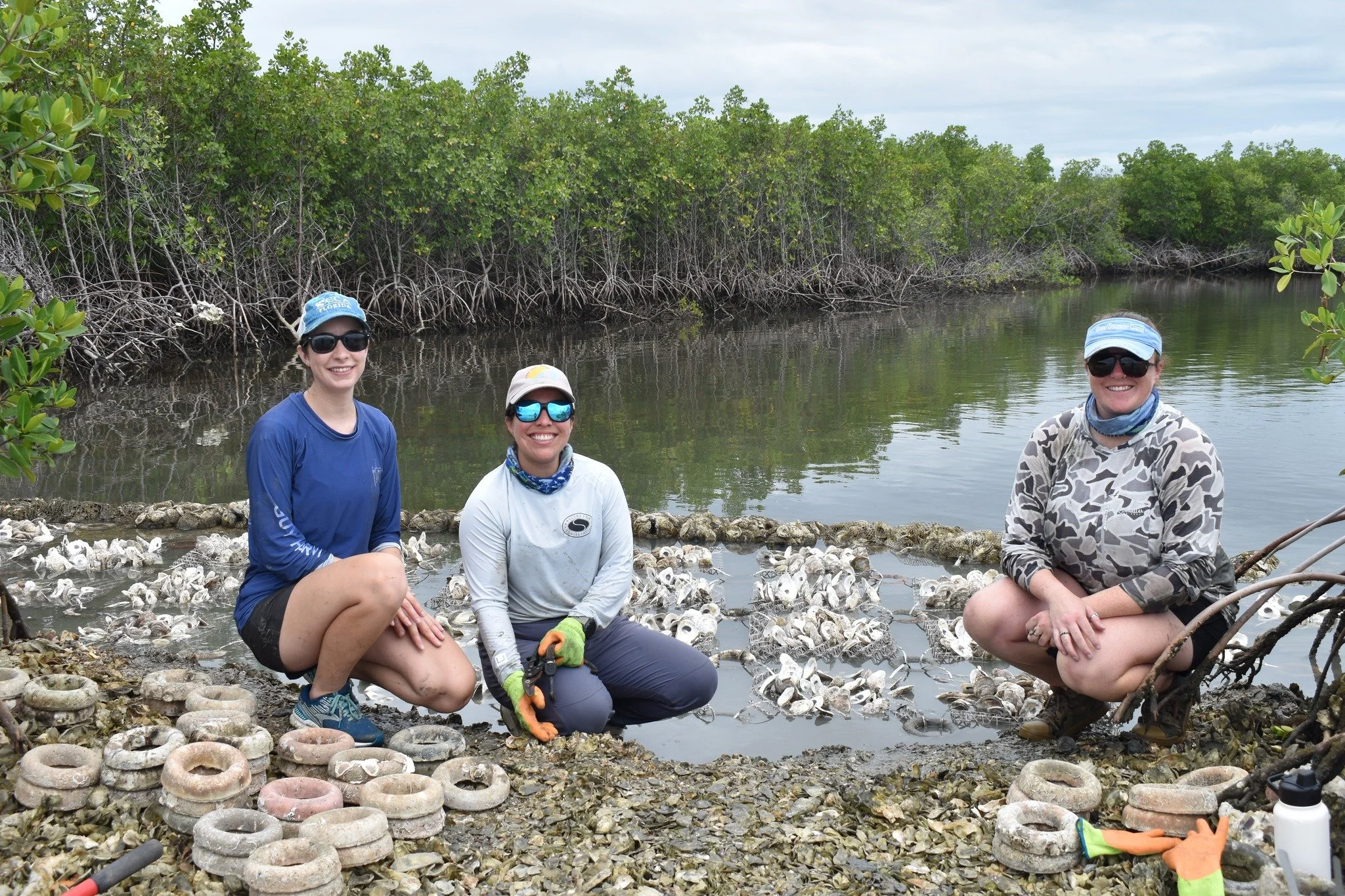 RESTORATION & CONSERVATION