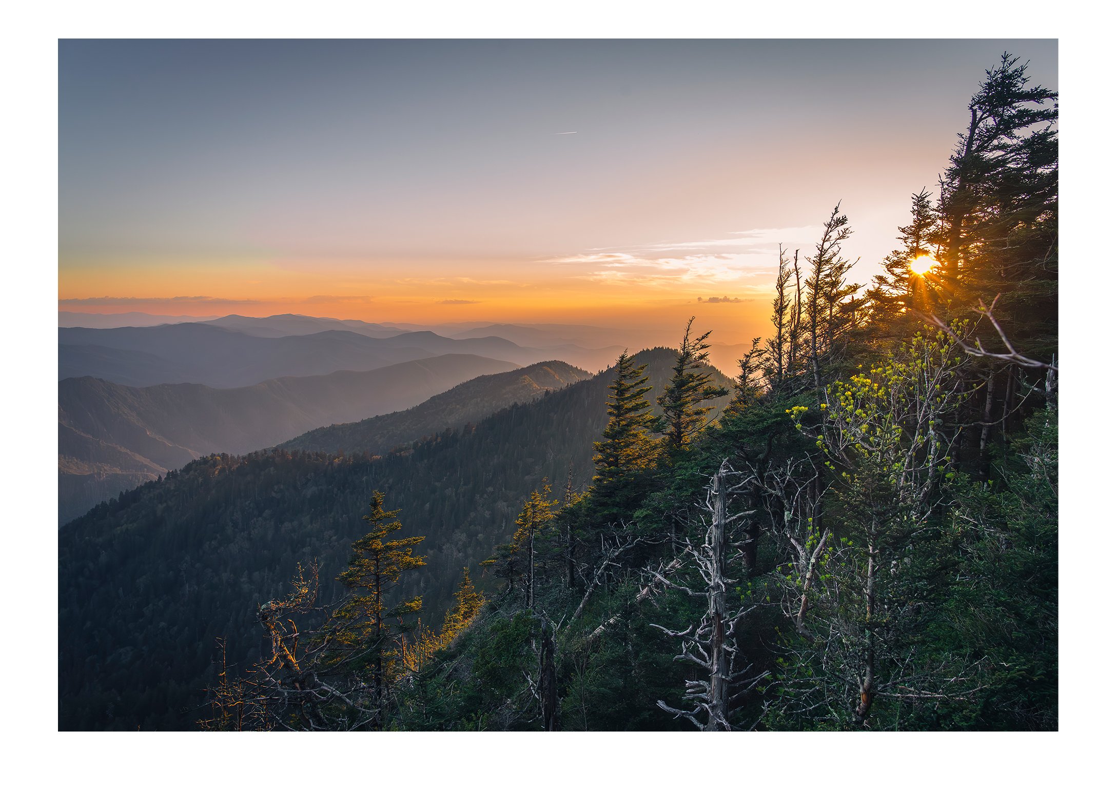Cliff Tops near Mount LeConte in the Great Smoky Mountains