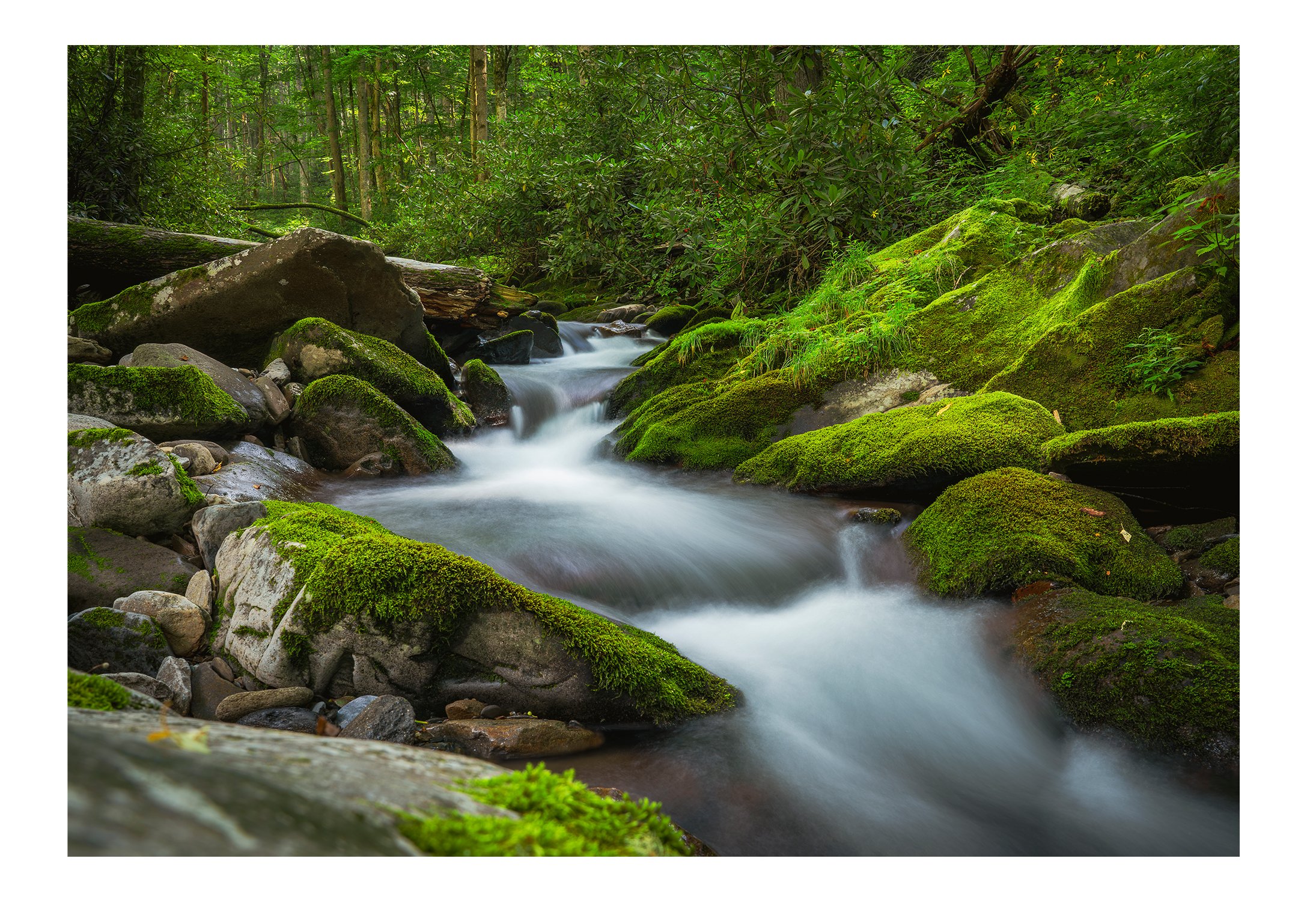 Grouse Creek in the Great Smoky Mountains