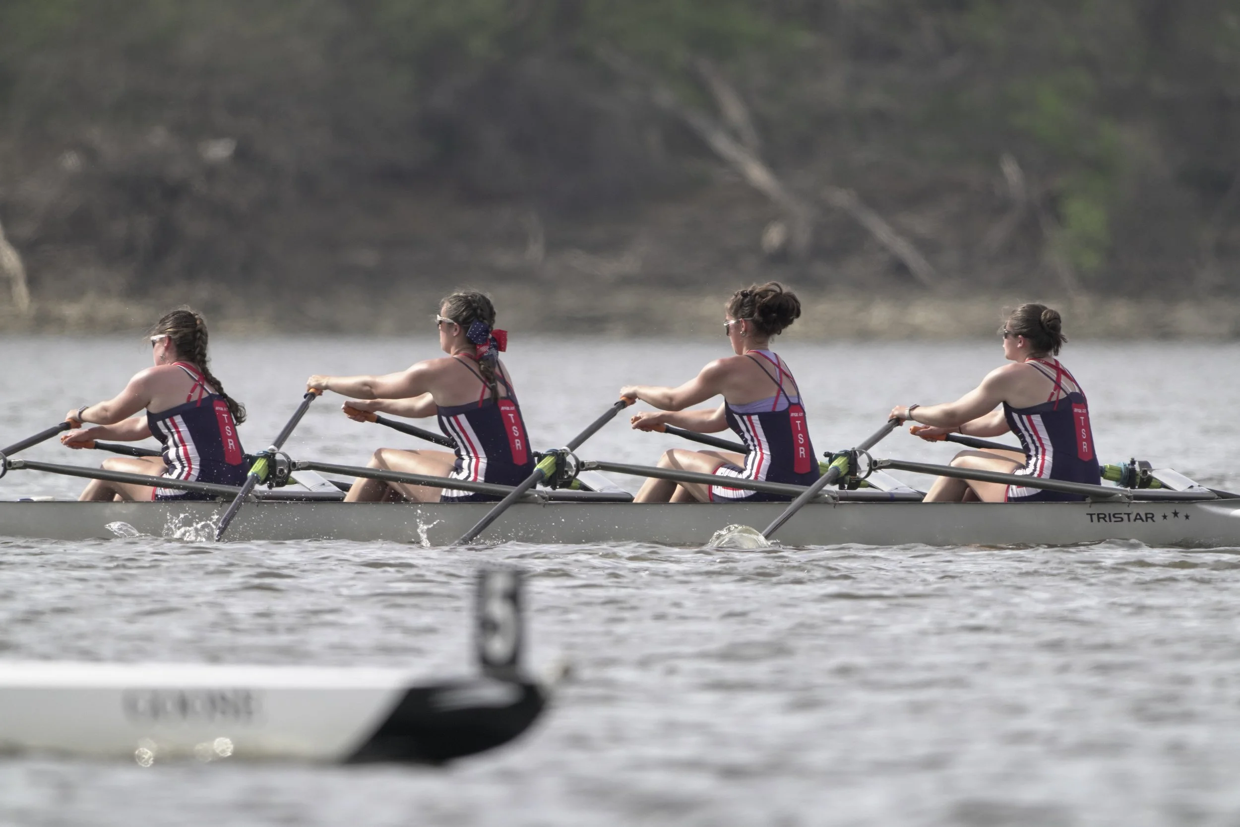 2026-04-12_175442 (1).JPG