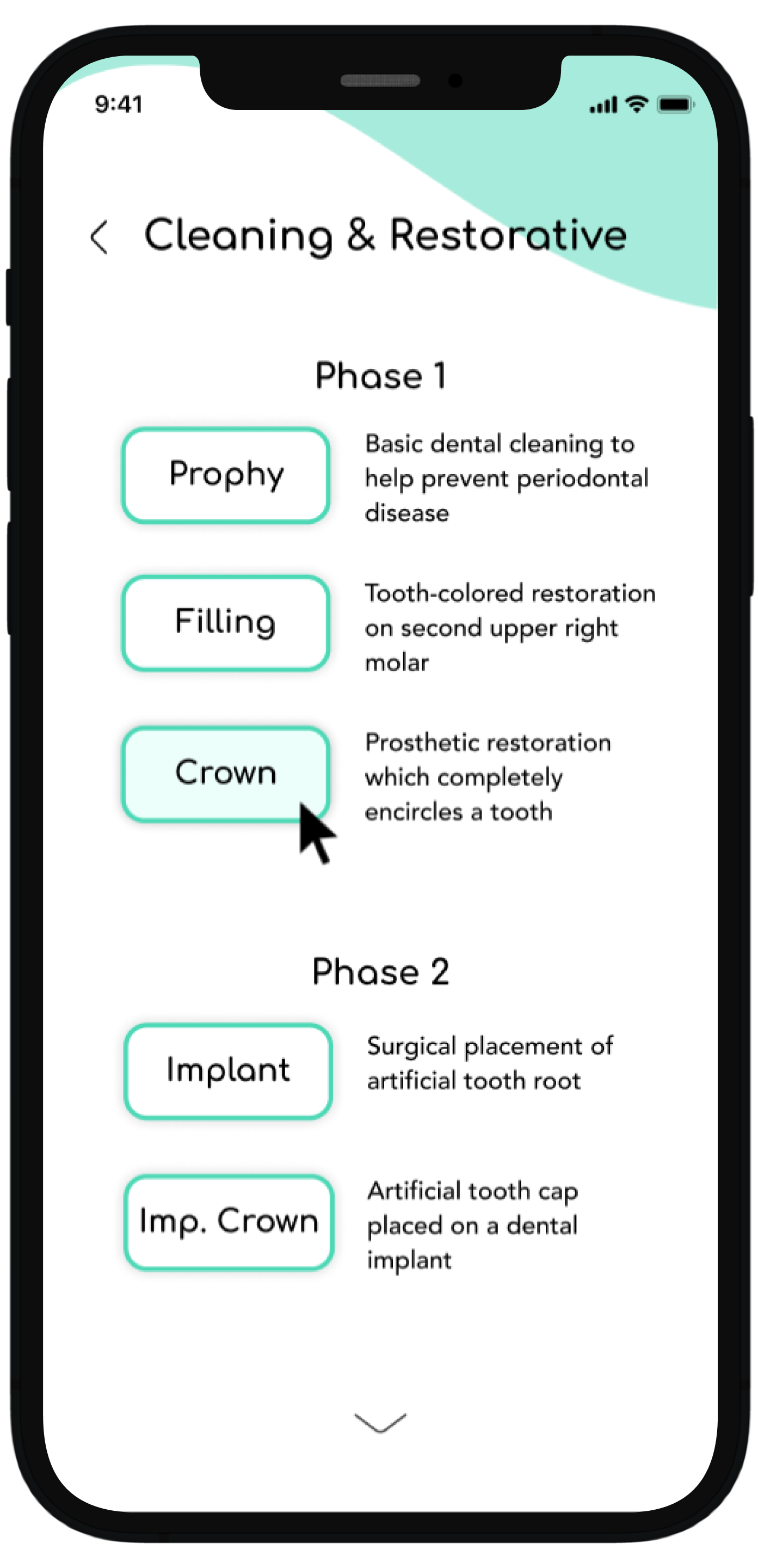 Choosing the most recent active treatment plan and seeing how the treatment is broken down into phases as organized by the provider