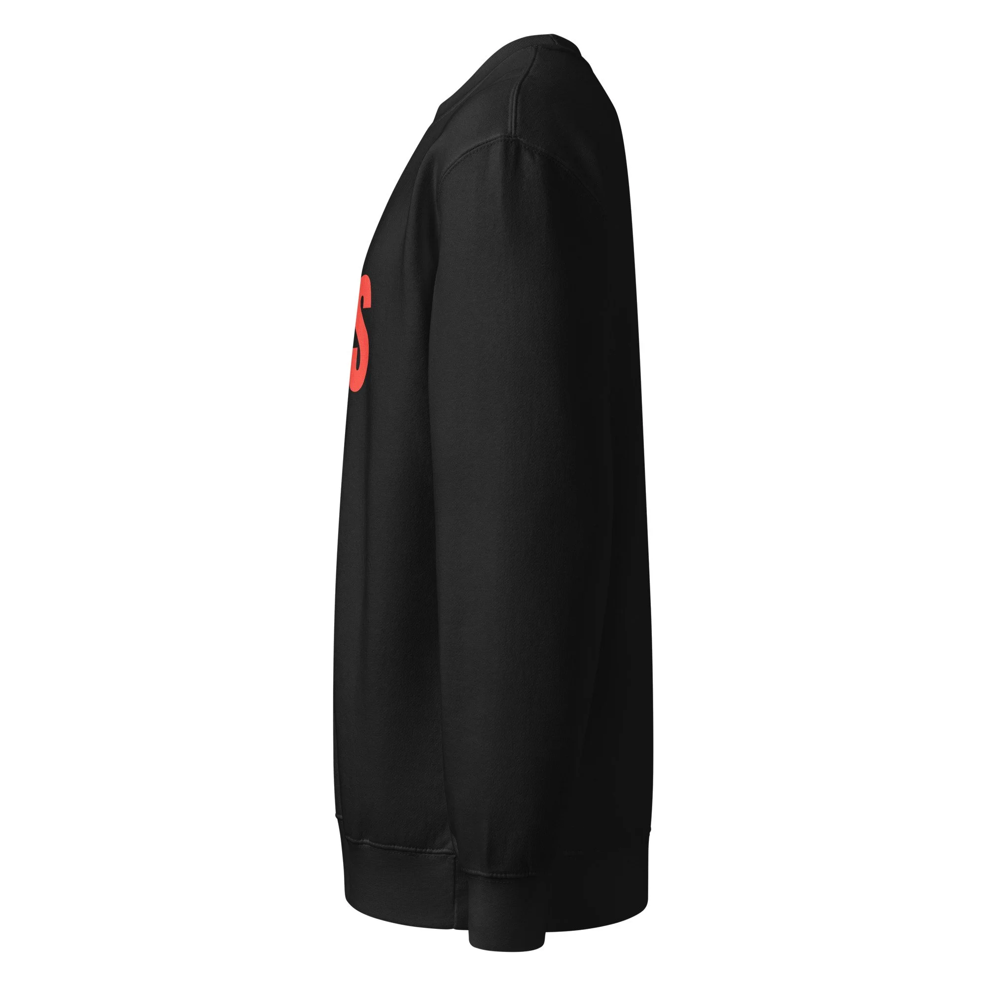 unisex-premium-crew-neck-sweatshirt-black-left-6852bdc9be45f.jpg