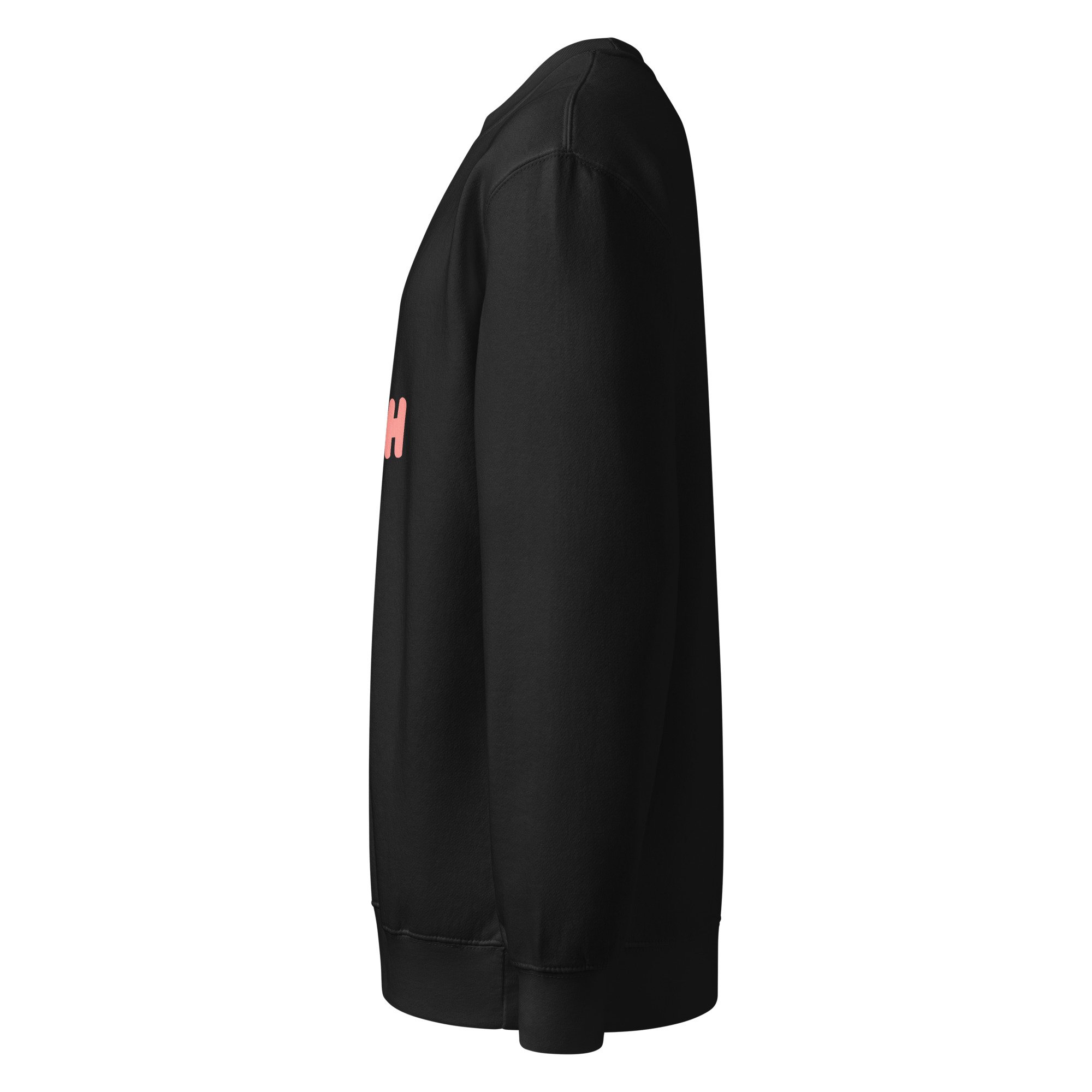 unisex-premium-crew-neck-sweatshirt-black-left-689268b4b06d7.jpg