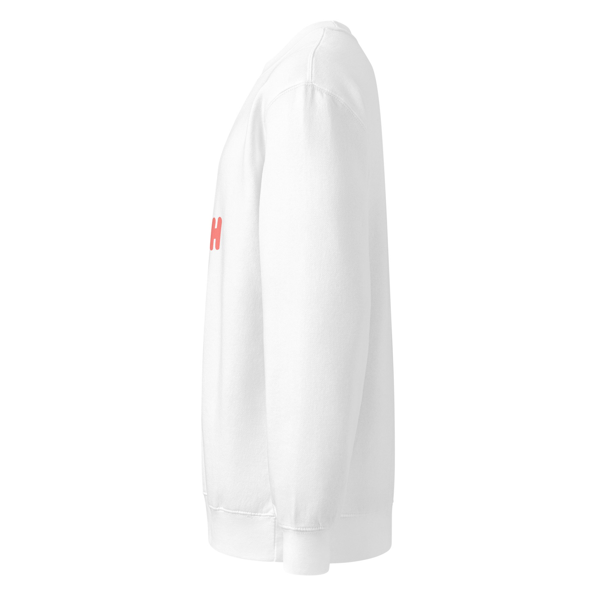 unisex-premium-crew-neck-sweatshirt-white-left-689268b4b6902.jpg
