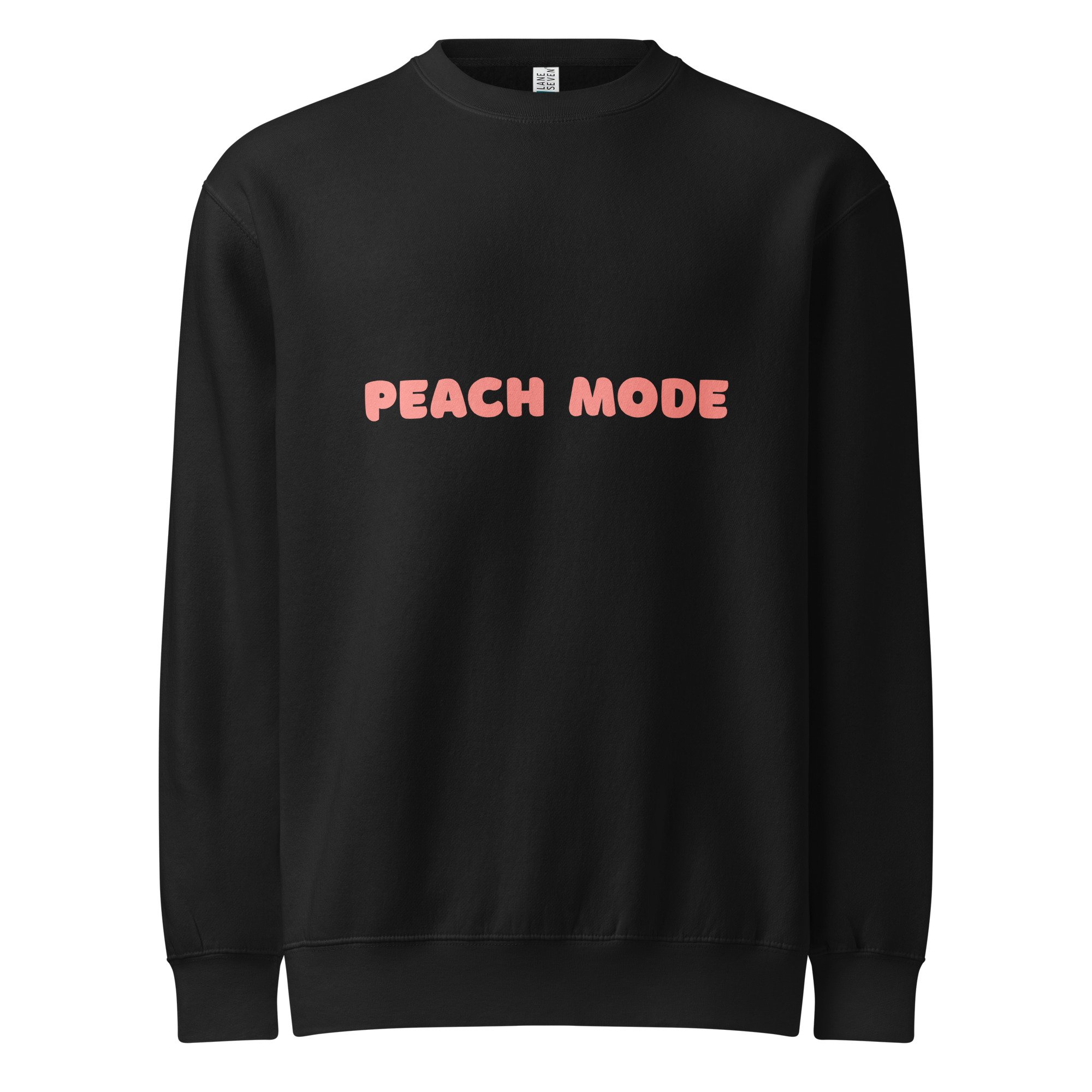unisex-premium-crew-neck-sweatshirt-black-front-6892695c754c5.jpg