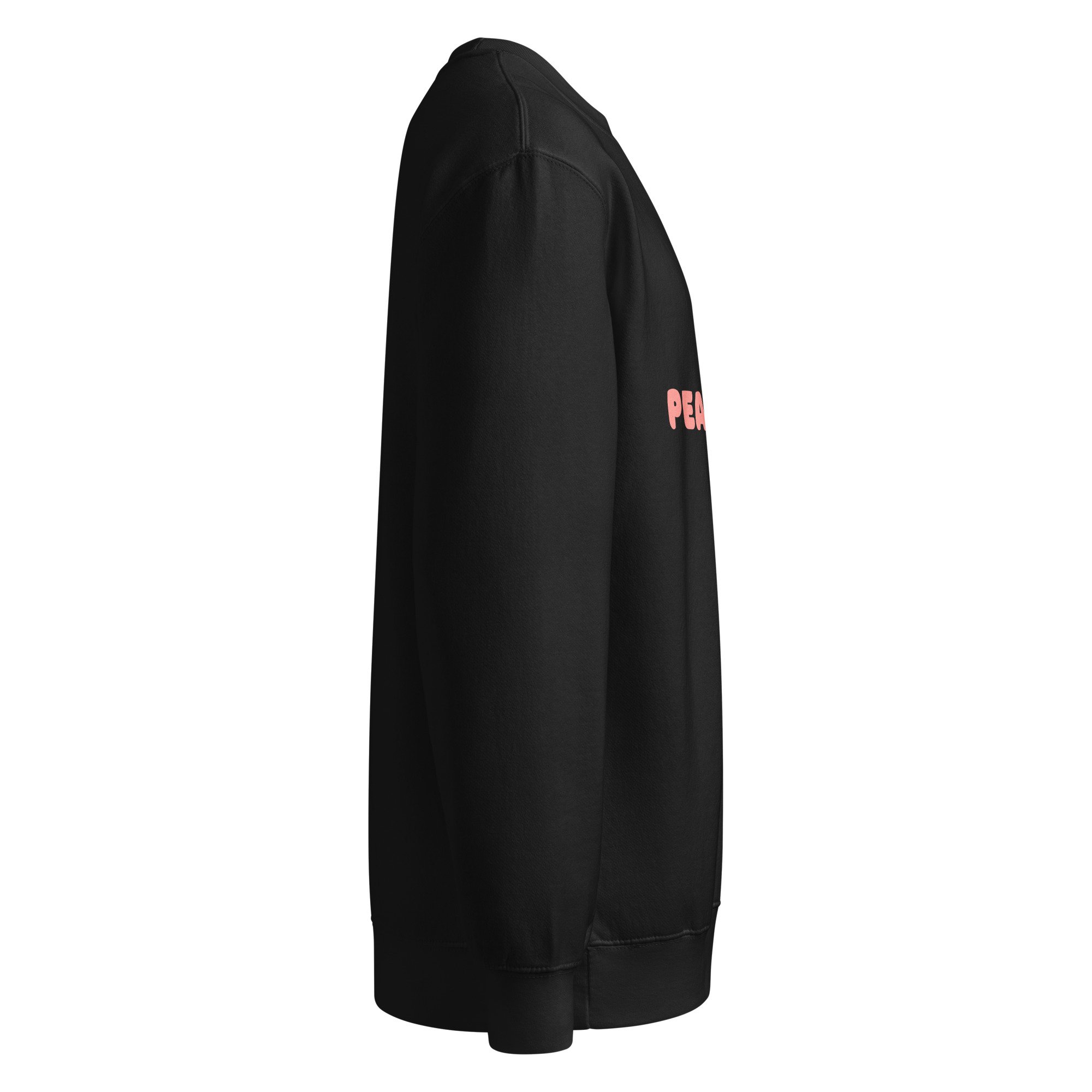 unisex-premium-crew-neck-sweatshirt-black-right-6892695c75814.jpg