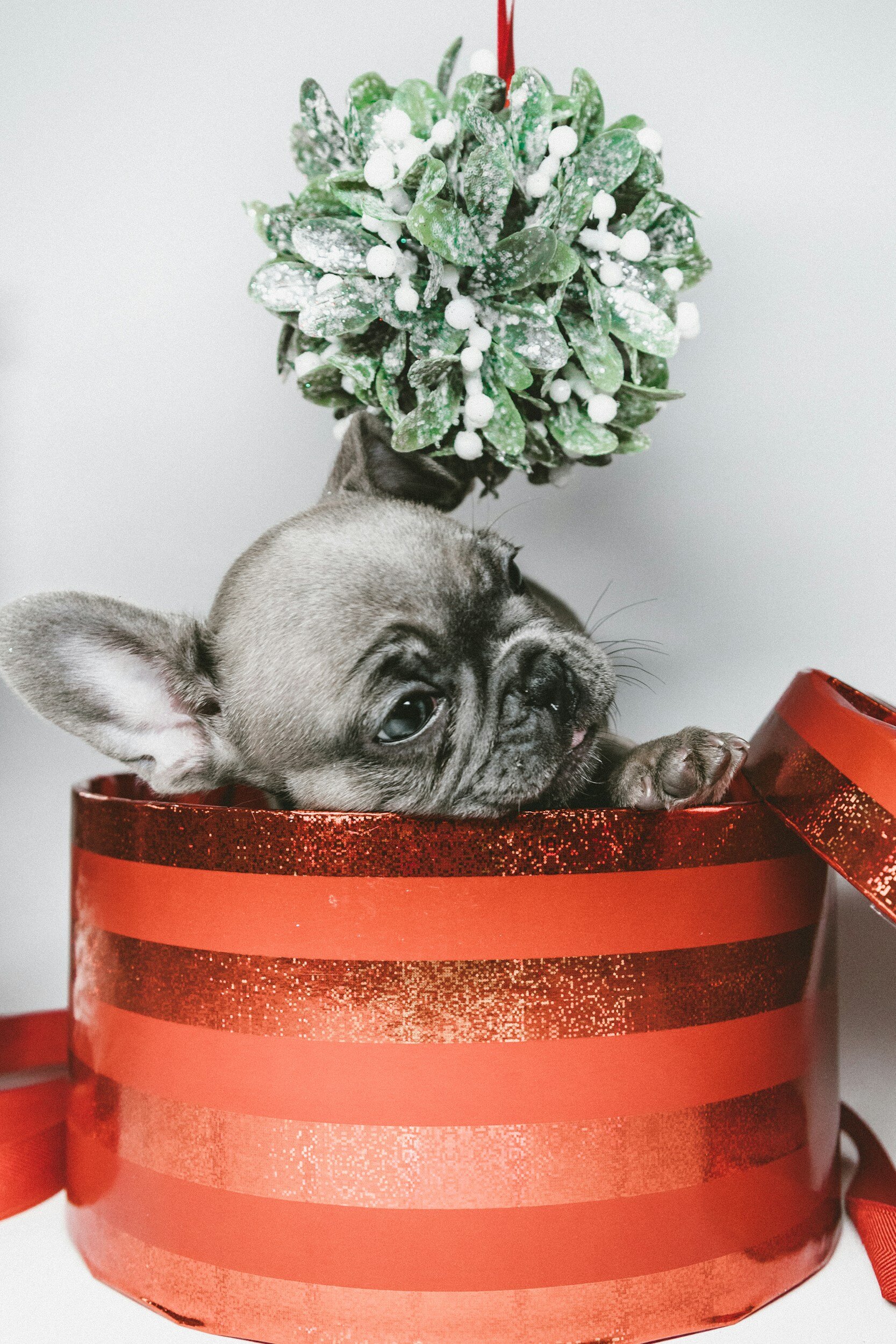 Overwhelmed working moms and the holidays