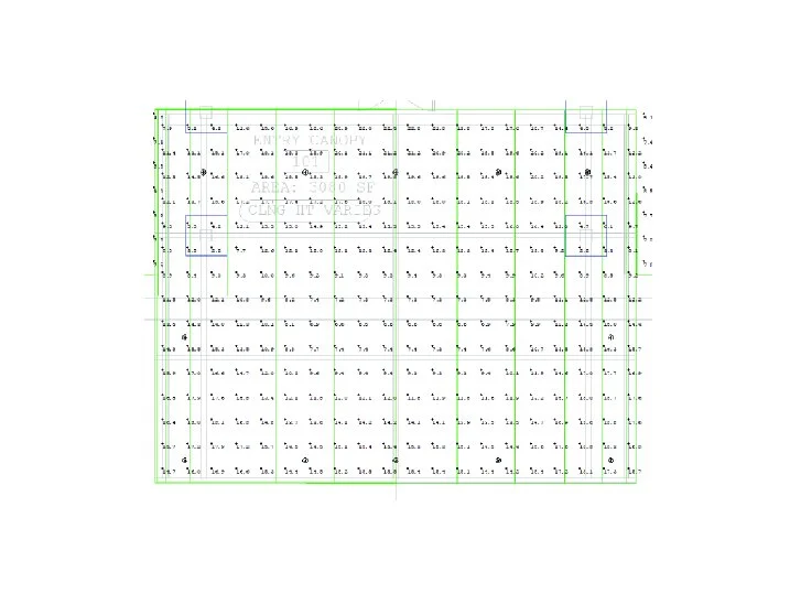 CanopyFloor.jpg