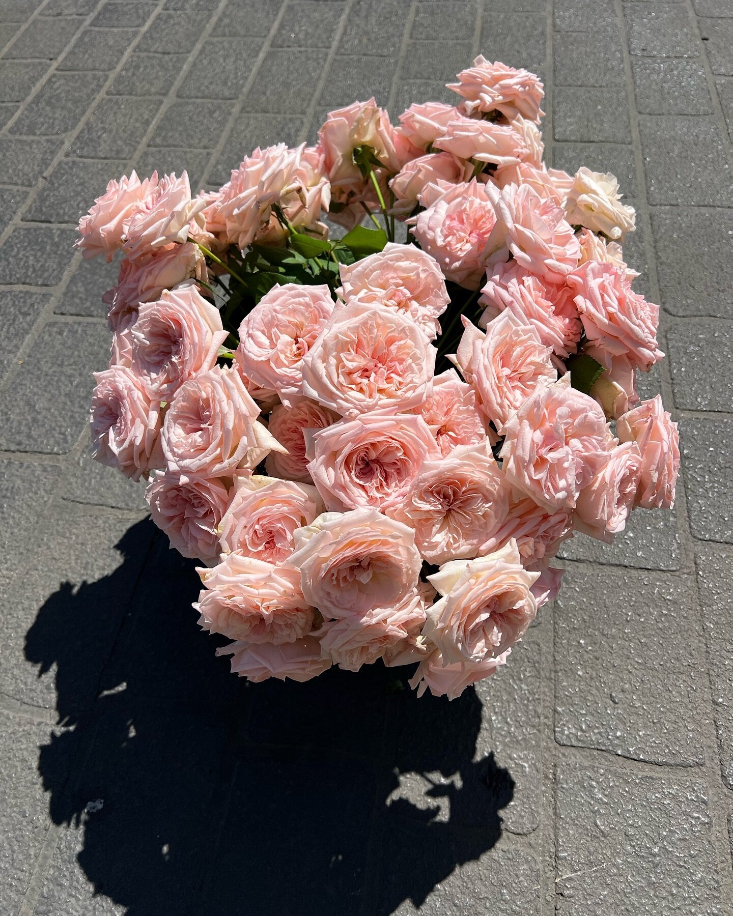 If only you could smell these 🌹🌹🌹❤️&zwj;🔥

It&rsquo;s a hot day today so our job is keeping all our beauties alive for tomorrows wedding. 

Hope you all have a glorious day ! X