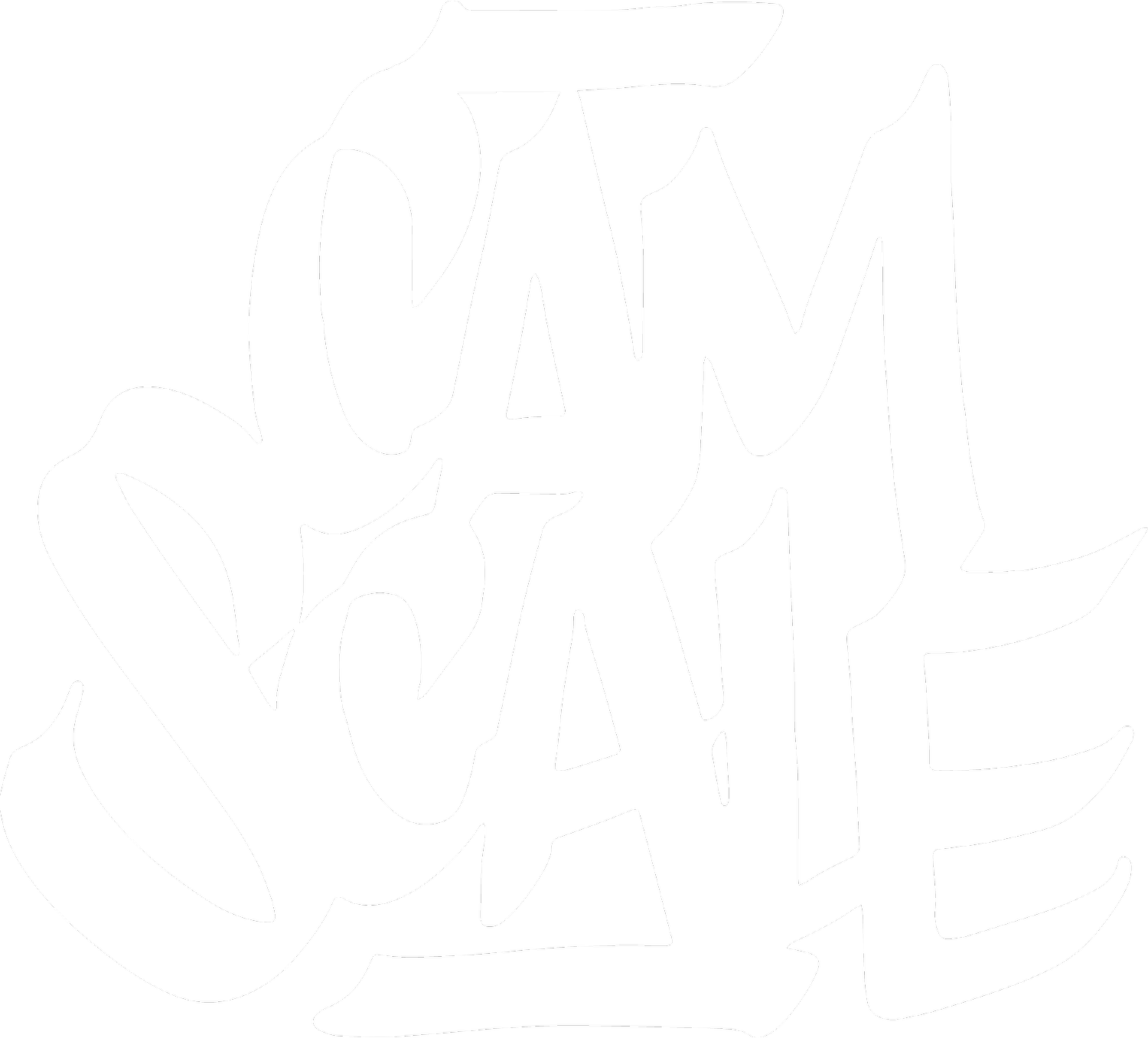 Cam Scale