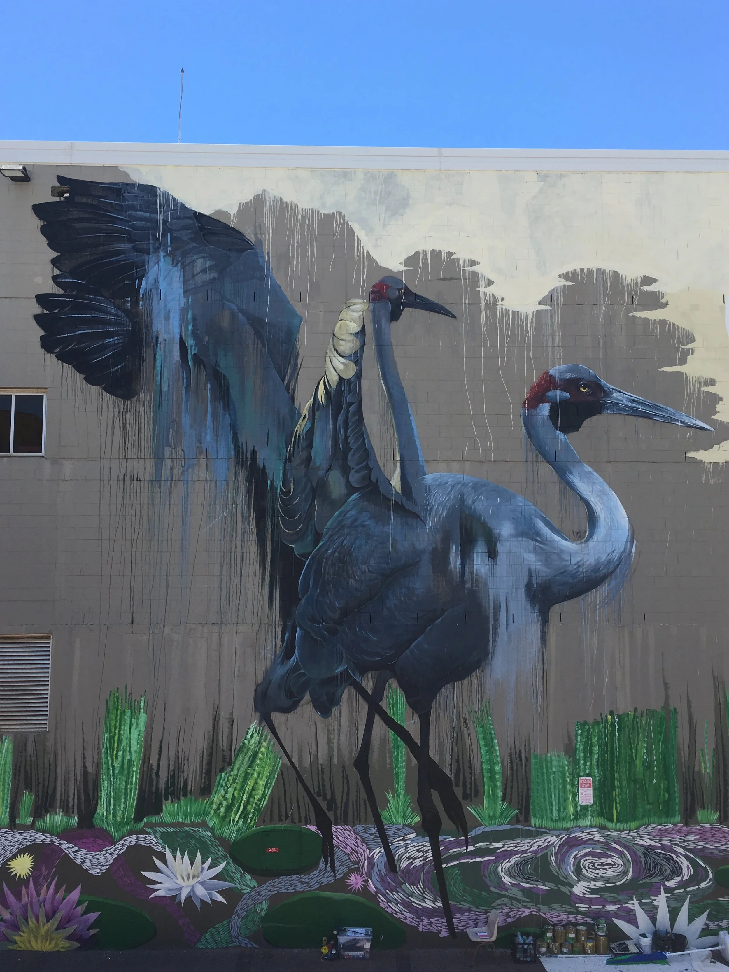 ‘Monsoon’ Cam Scale x Les Huddleston
Darwin NT