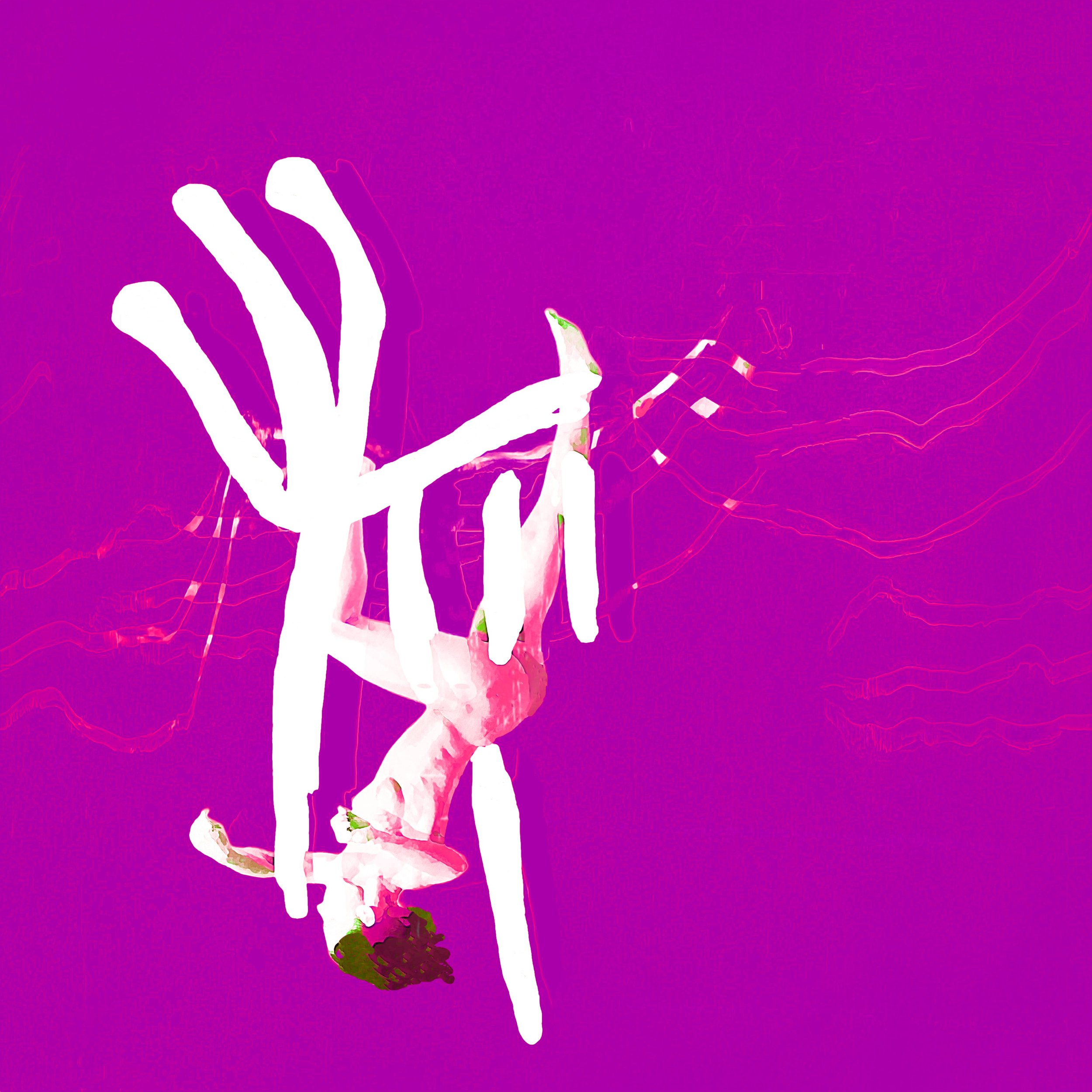 The Music of Losing a Language