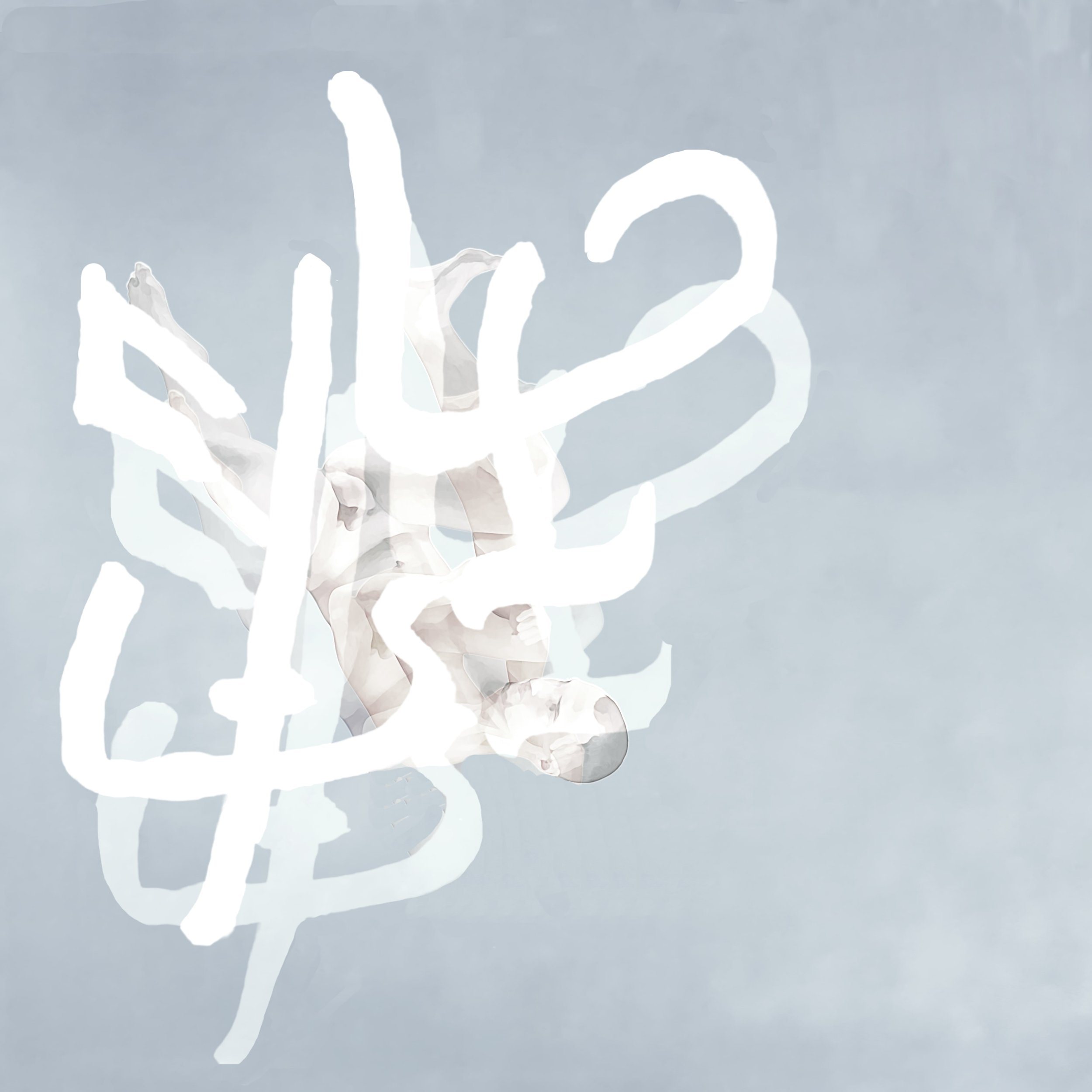 Fetus of the Logogram
