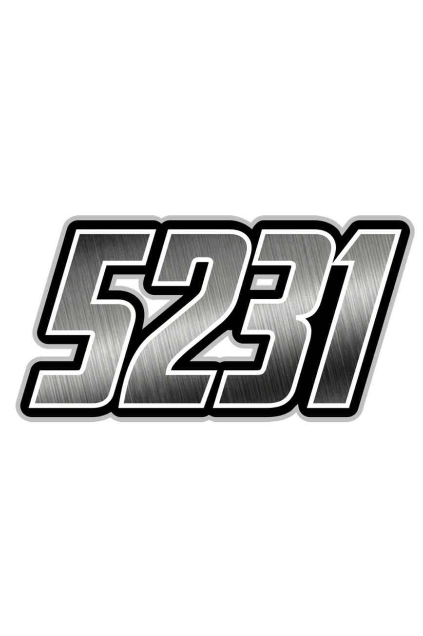 5231-stainless.jpg