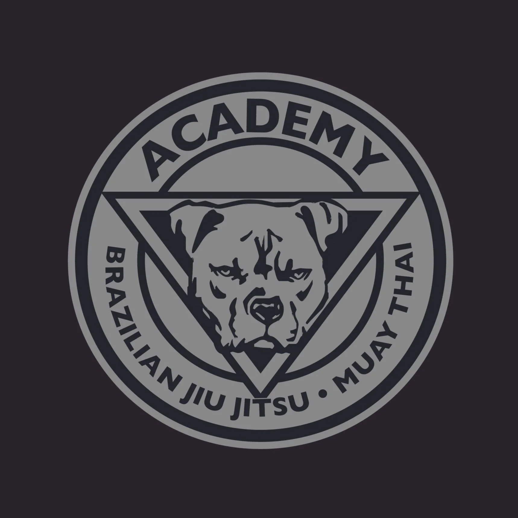 Top 3 MMA Gyms in Portland, Maine