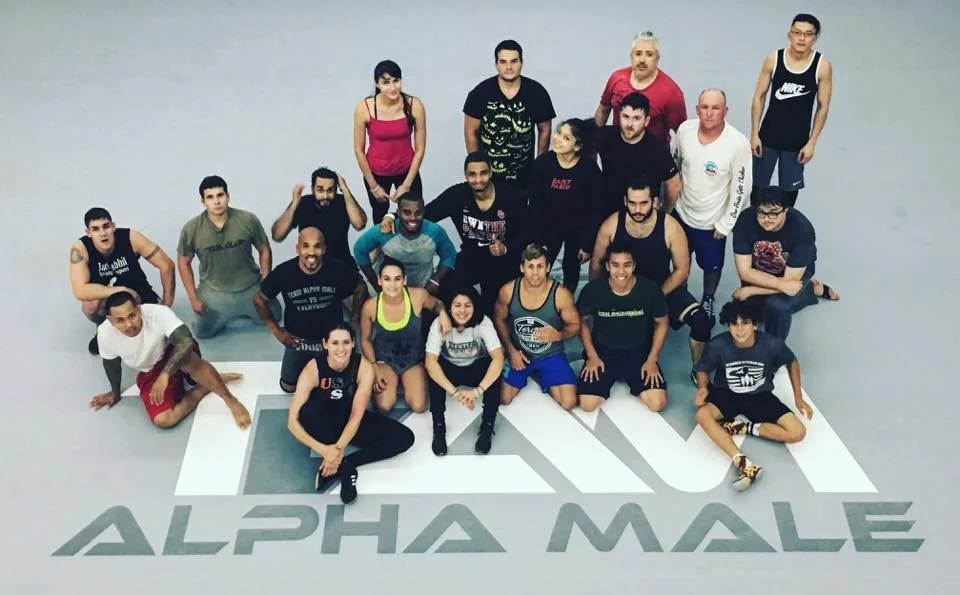 Top 3 MMA Gyms in Sacramento California