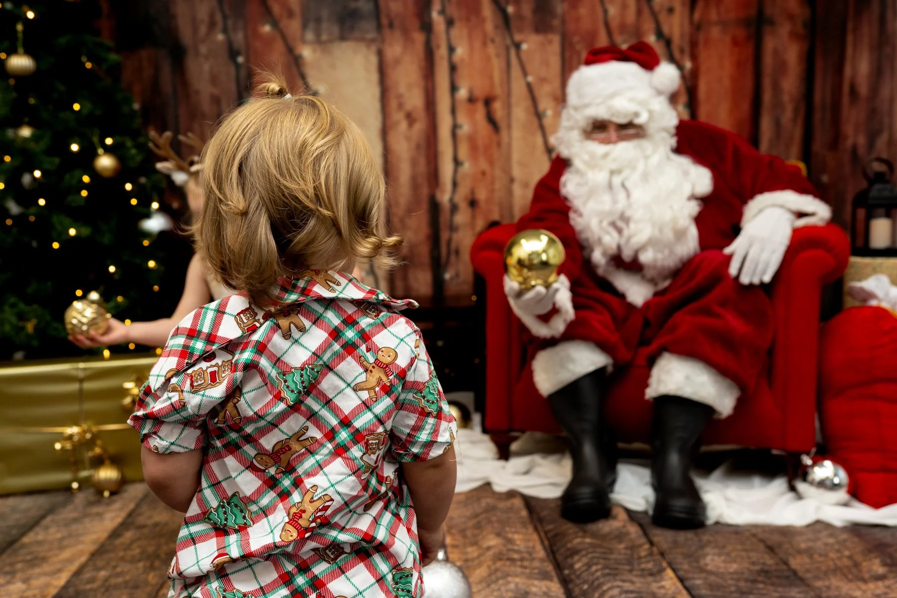 Santa Minis
