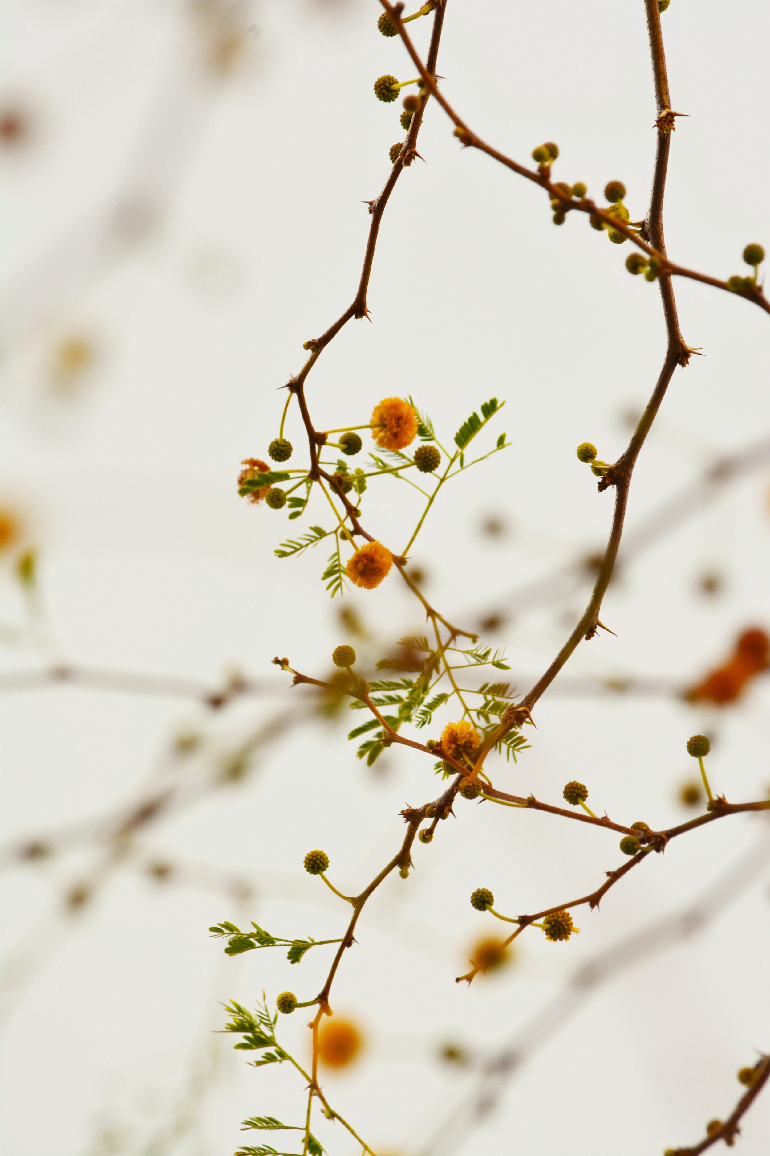 Three Poems