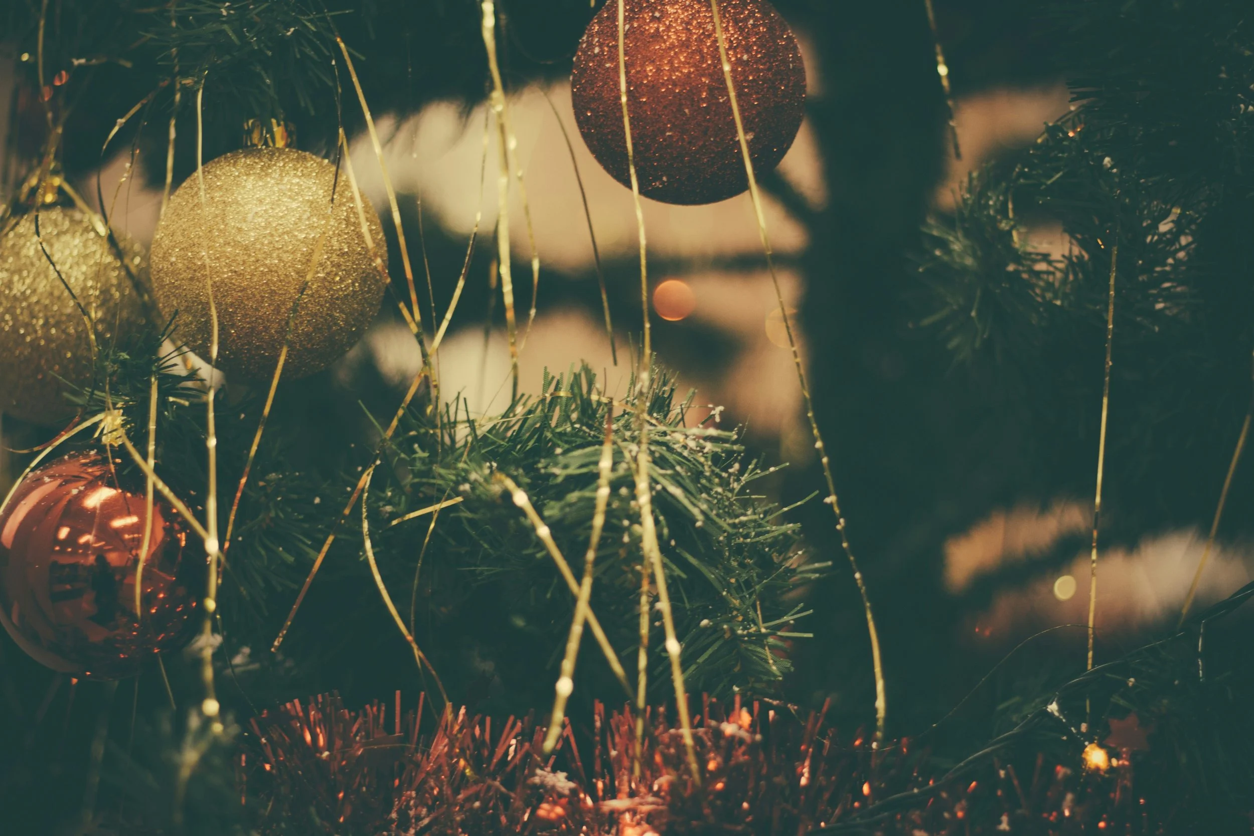 Darkness and Light: Notes During Advent