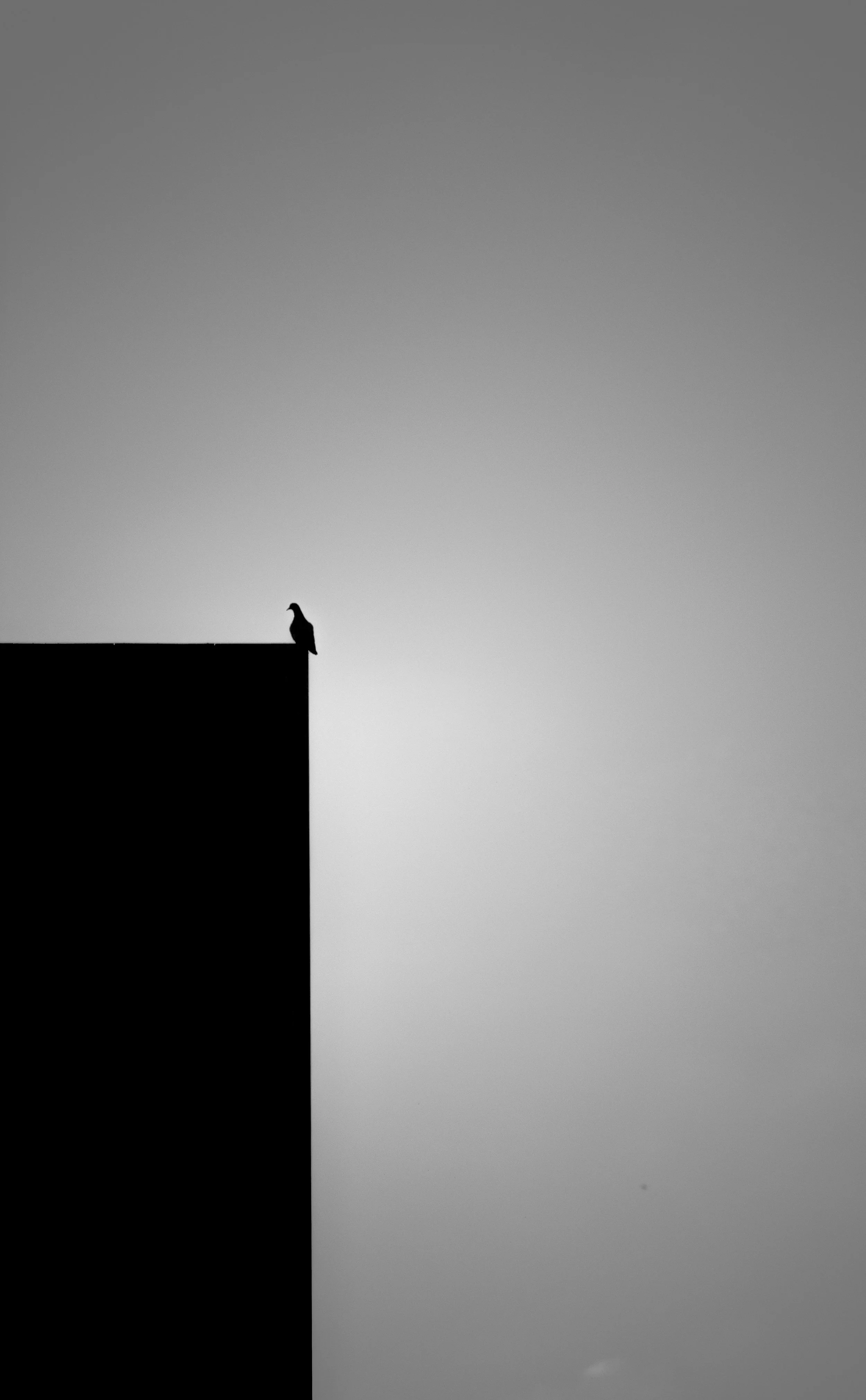 Three Stories