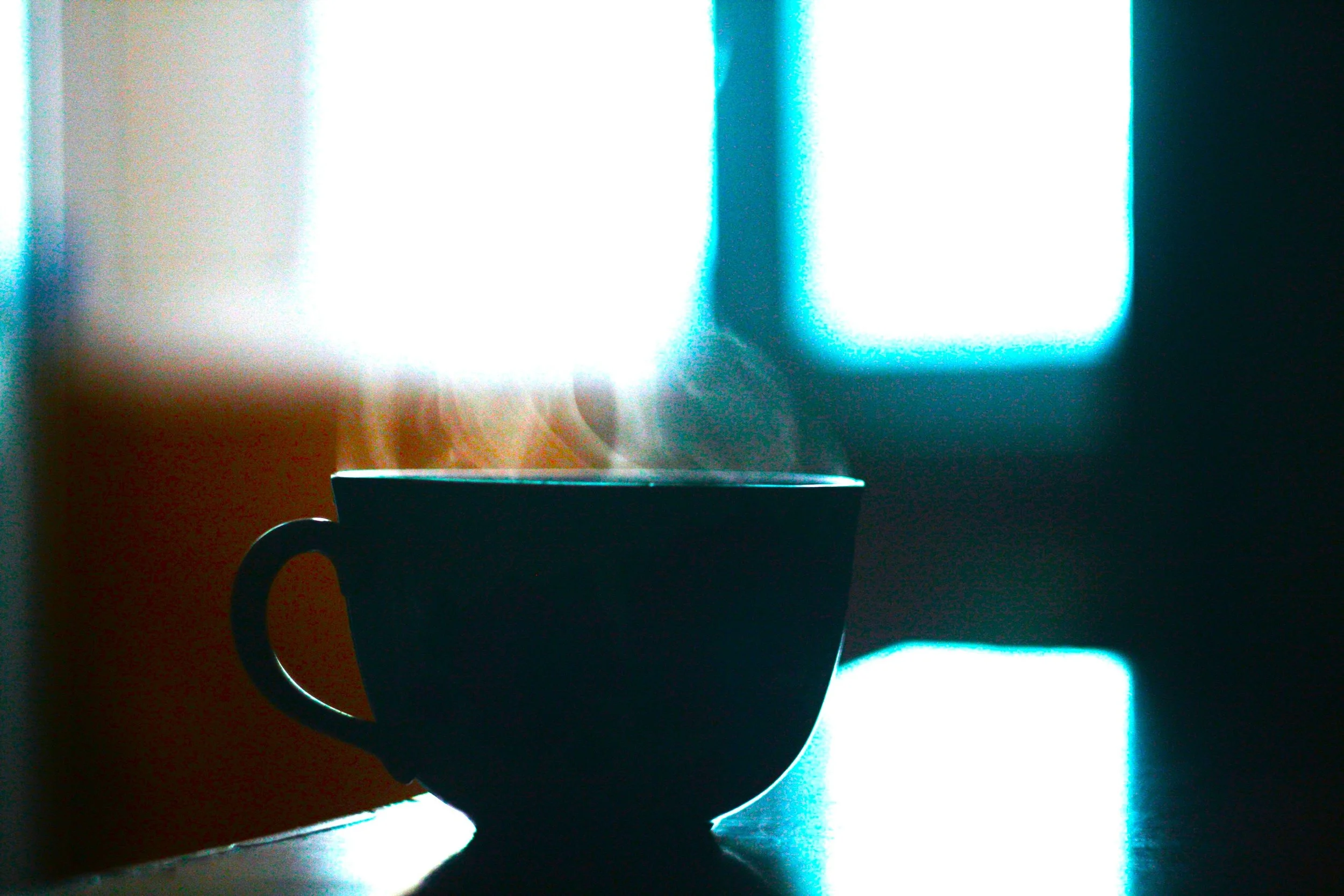 Stillness Between the Pages