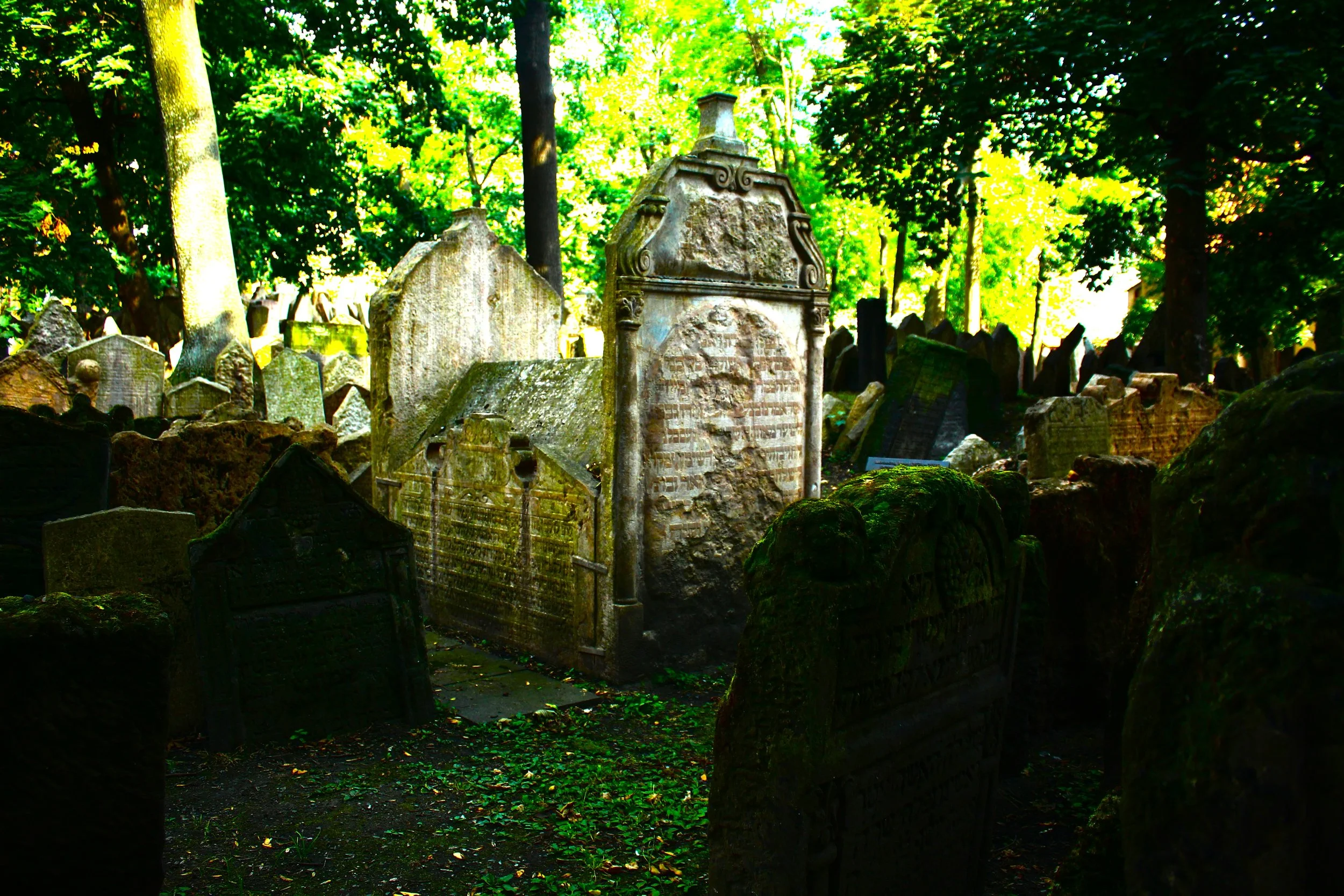 Whispers in the Wind