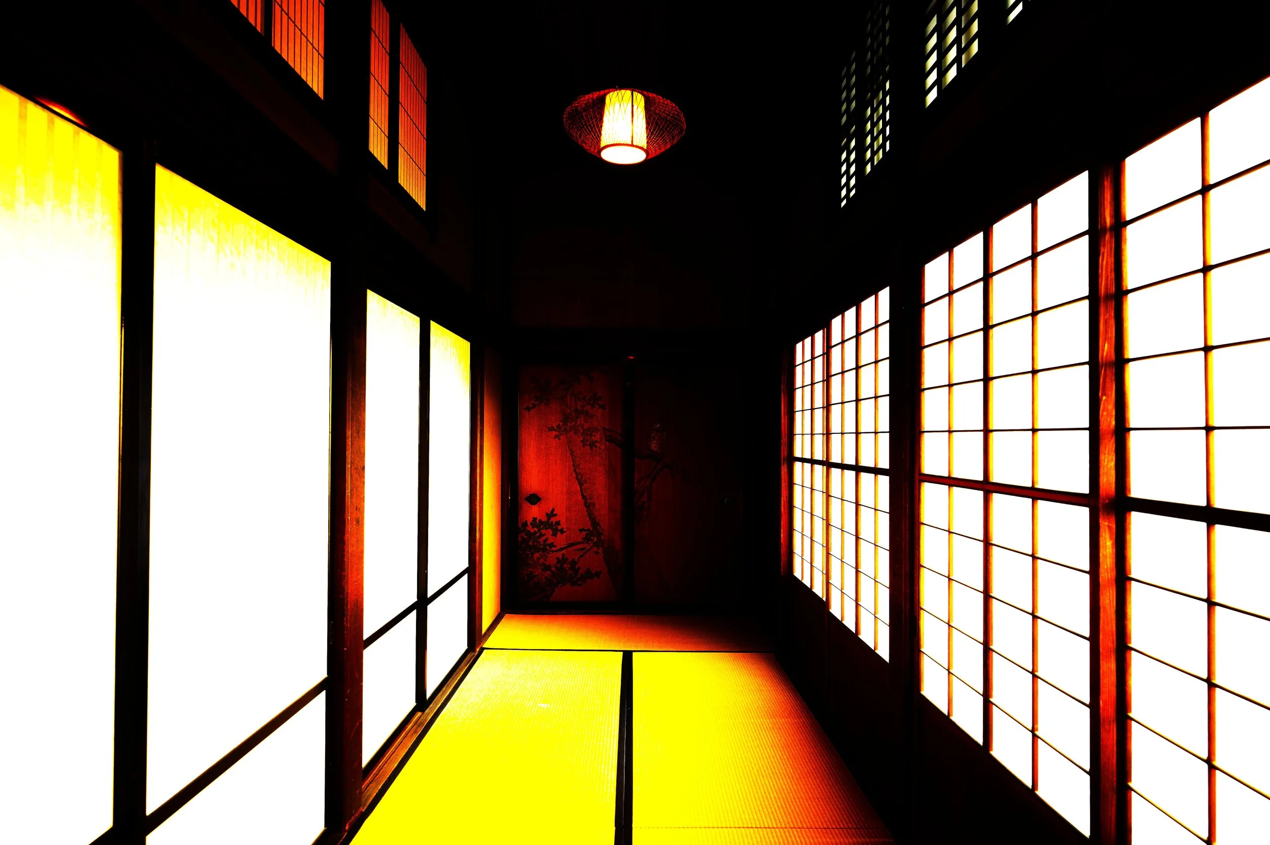 Reflections in the Ice