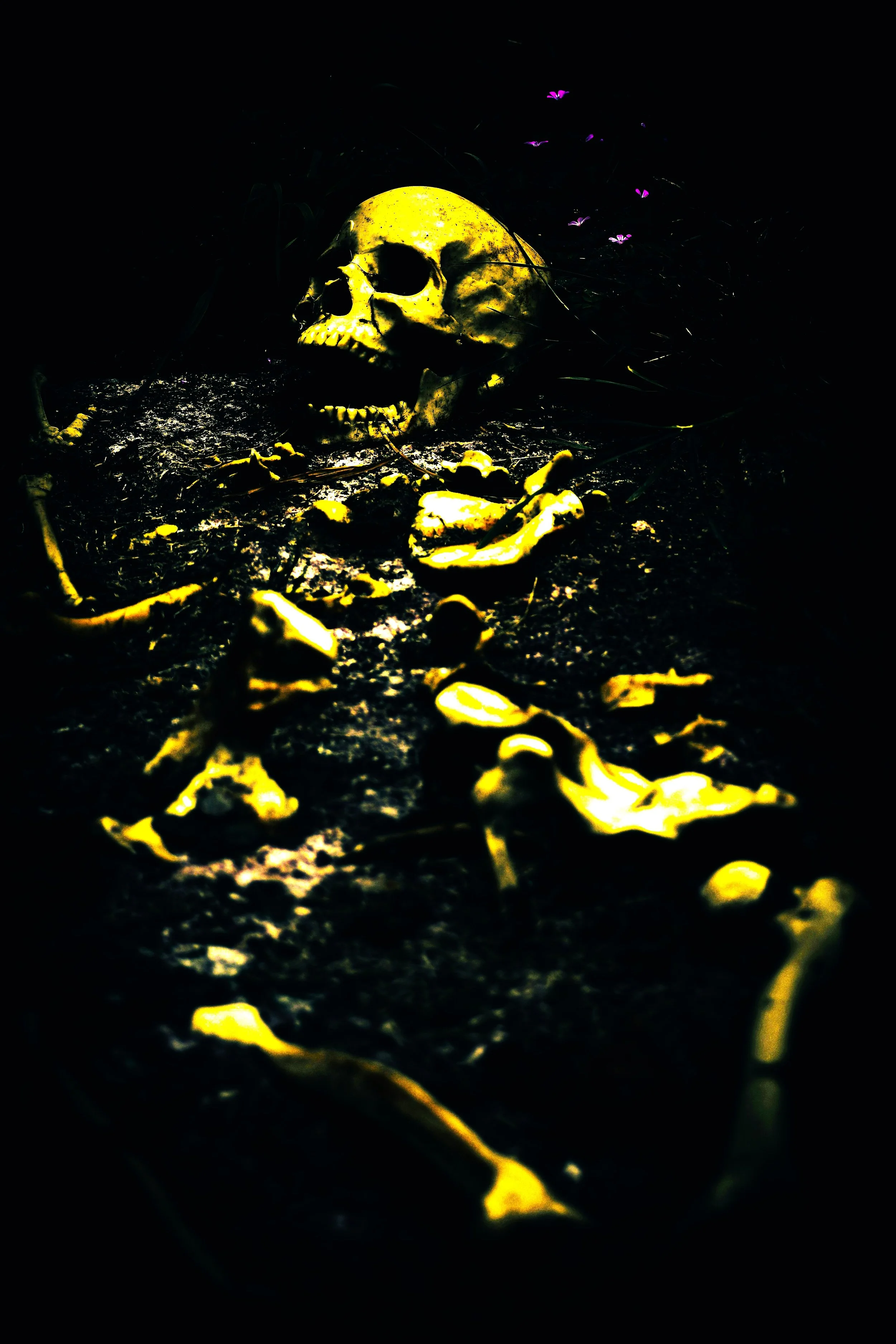 The Corpse Seeker’s Picnic