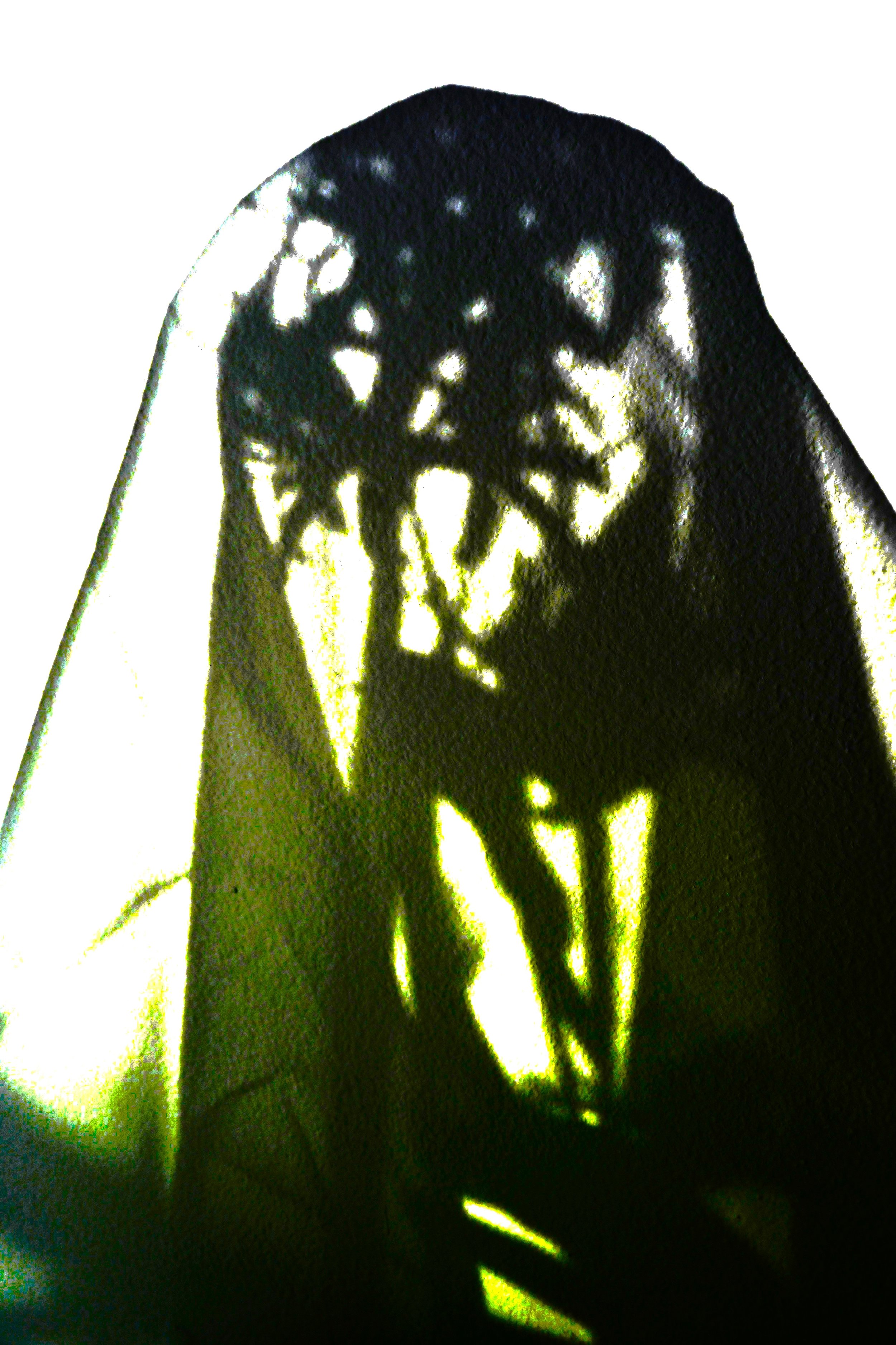 A Hallowthankmas Visitor