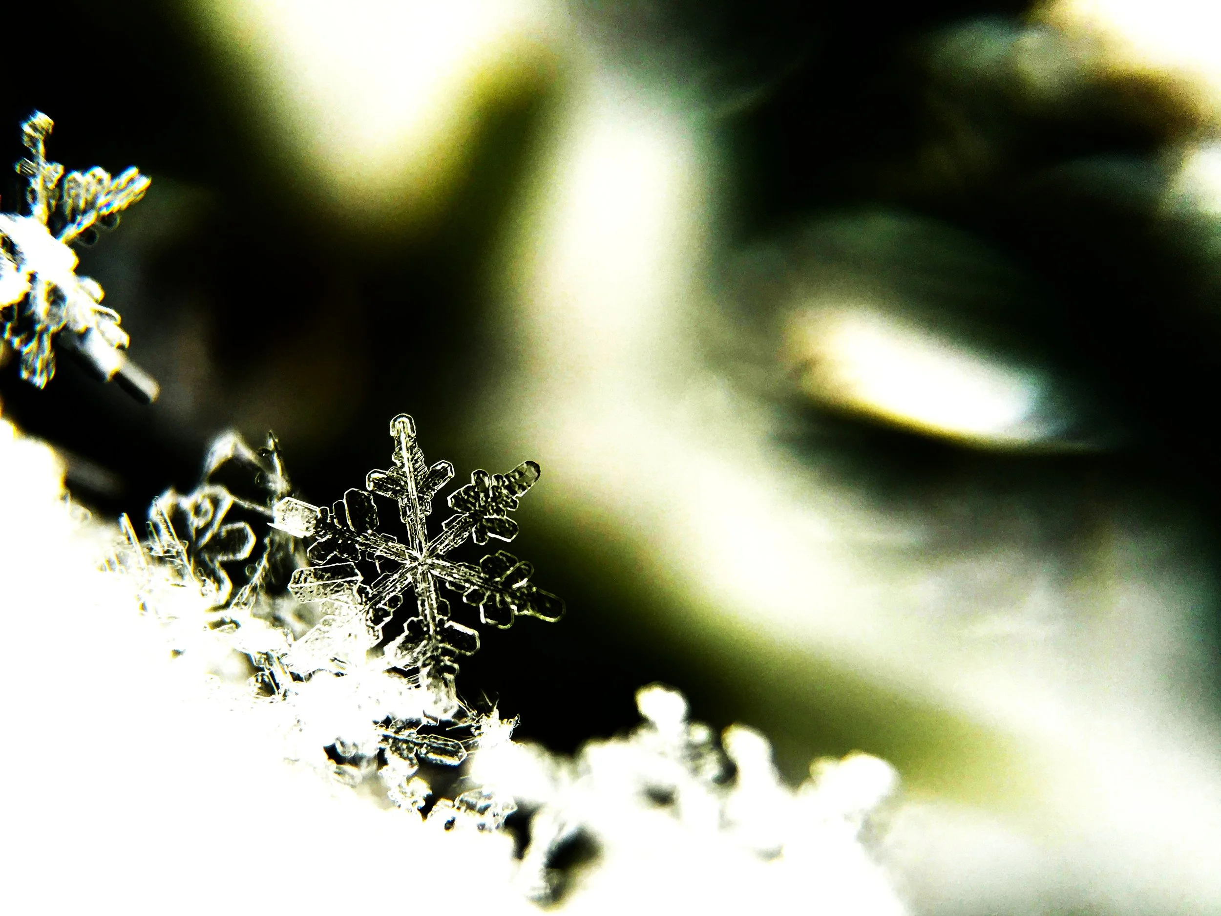 Childhood Winters, Fredericton